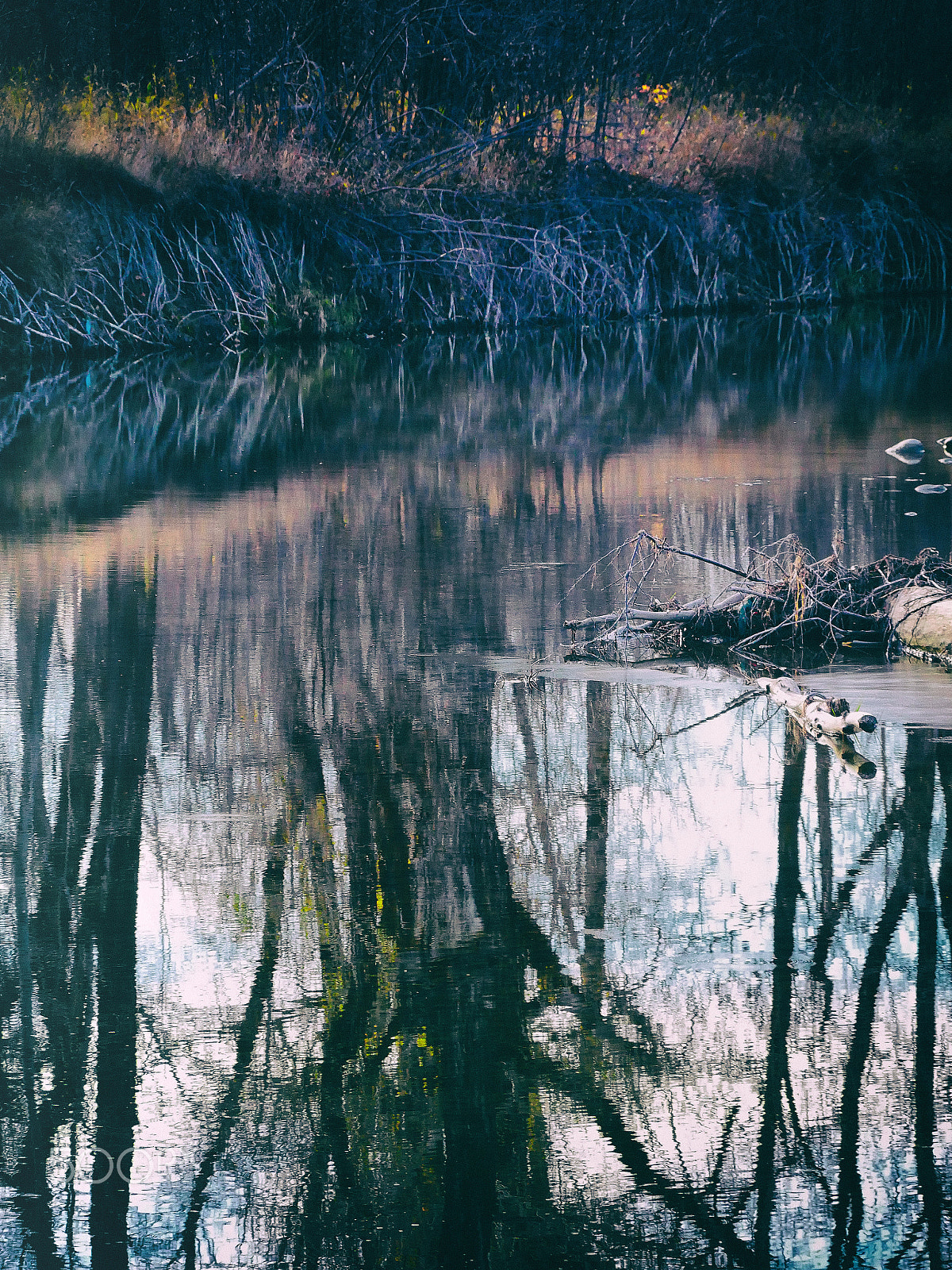 Panasonic Lumix DMC-GH4 + LEICA DG 100-400/F4.0-6.3 sample photo. Mirror on the stream photography
