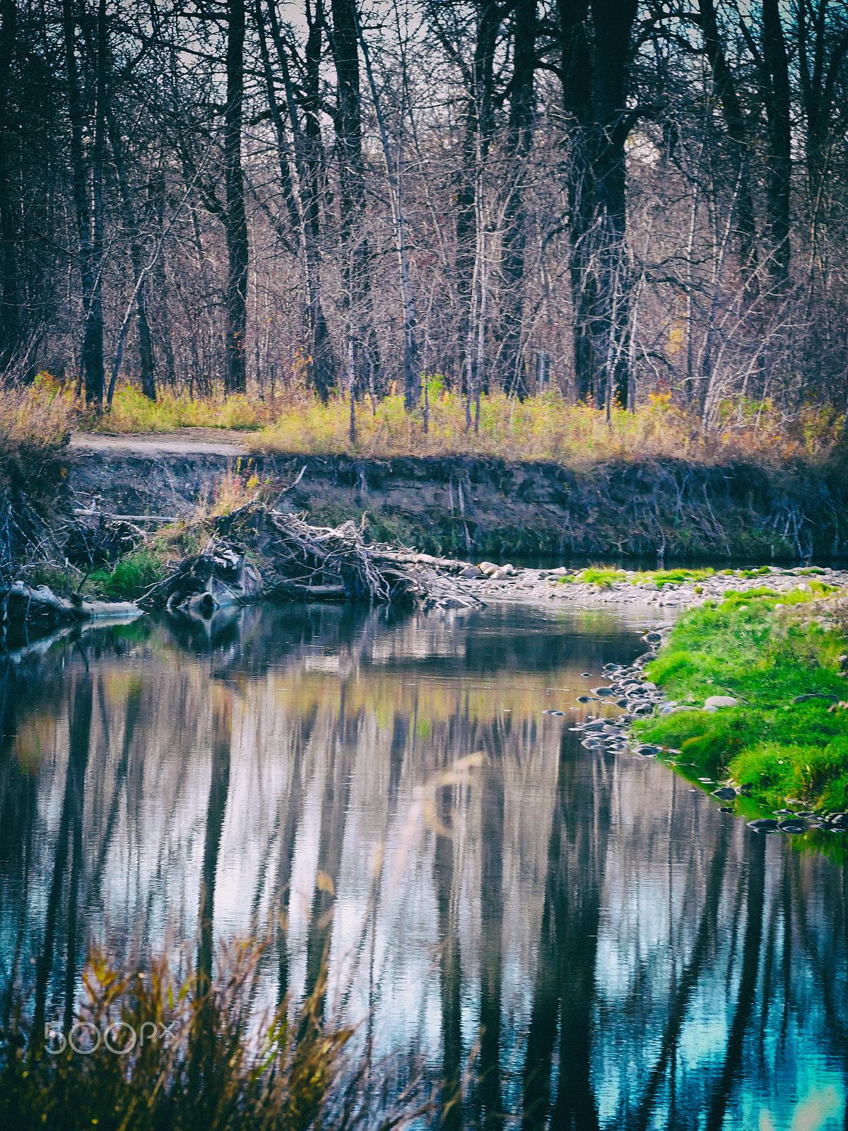 Panasonic Lumix DMC-GH4 + LEICA DG 100-400/F4.0-6.3 sample photo. Serenity photography