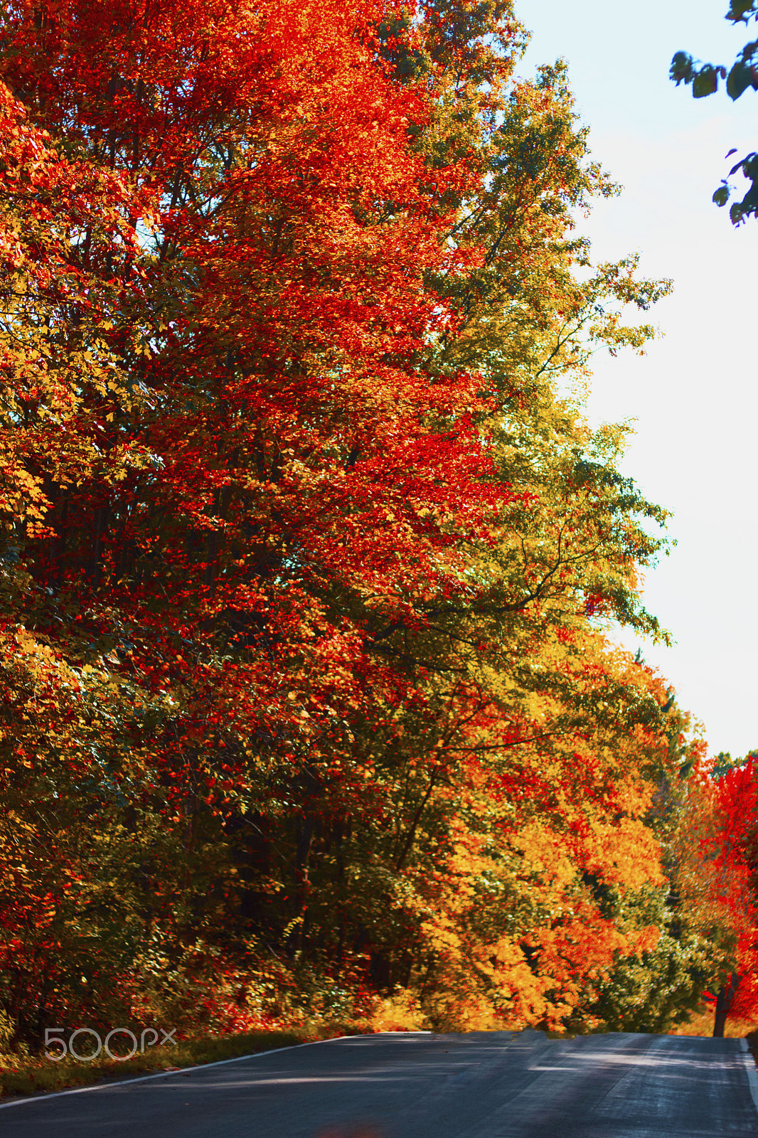 Canon EOS 750D (EOS Rebel T6i / EOS Kiss X8i) sample photo. Back road photography