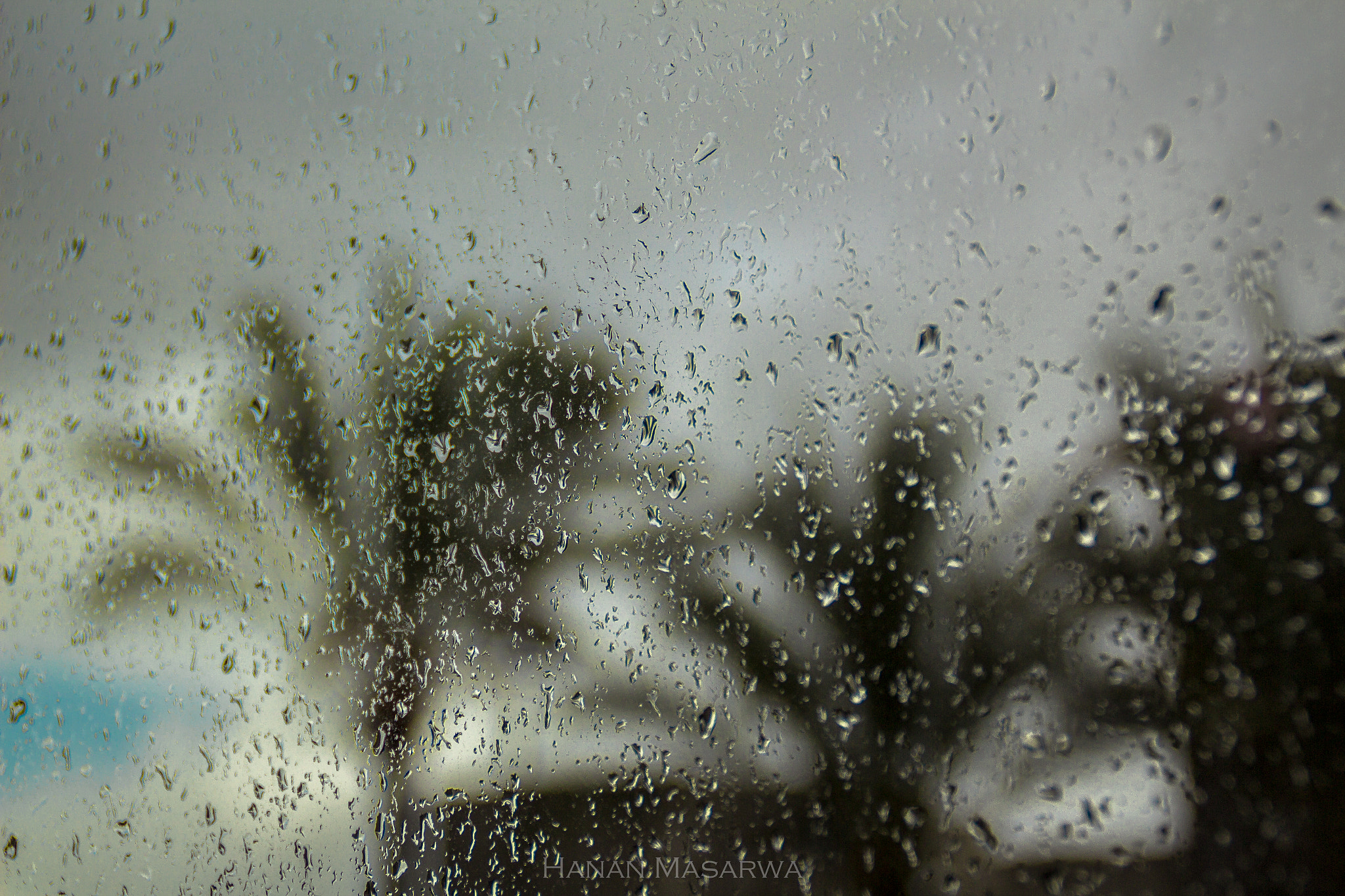 Canon EOS 650D (EOS Rebel T4i / EOS Kiss X6i) sample photo. Missing winter days photography