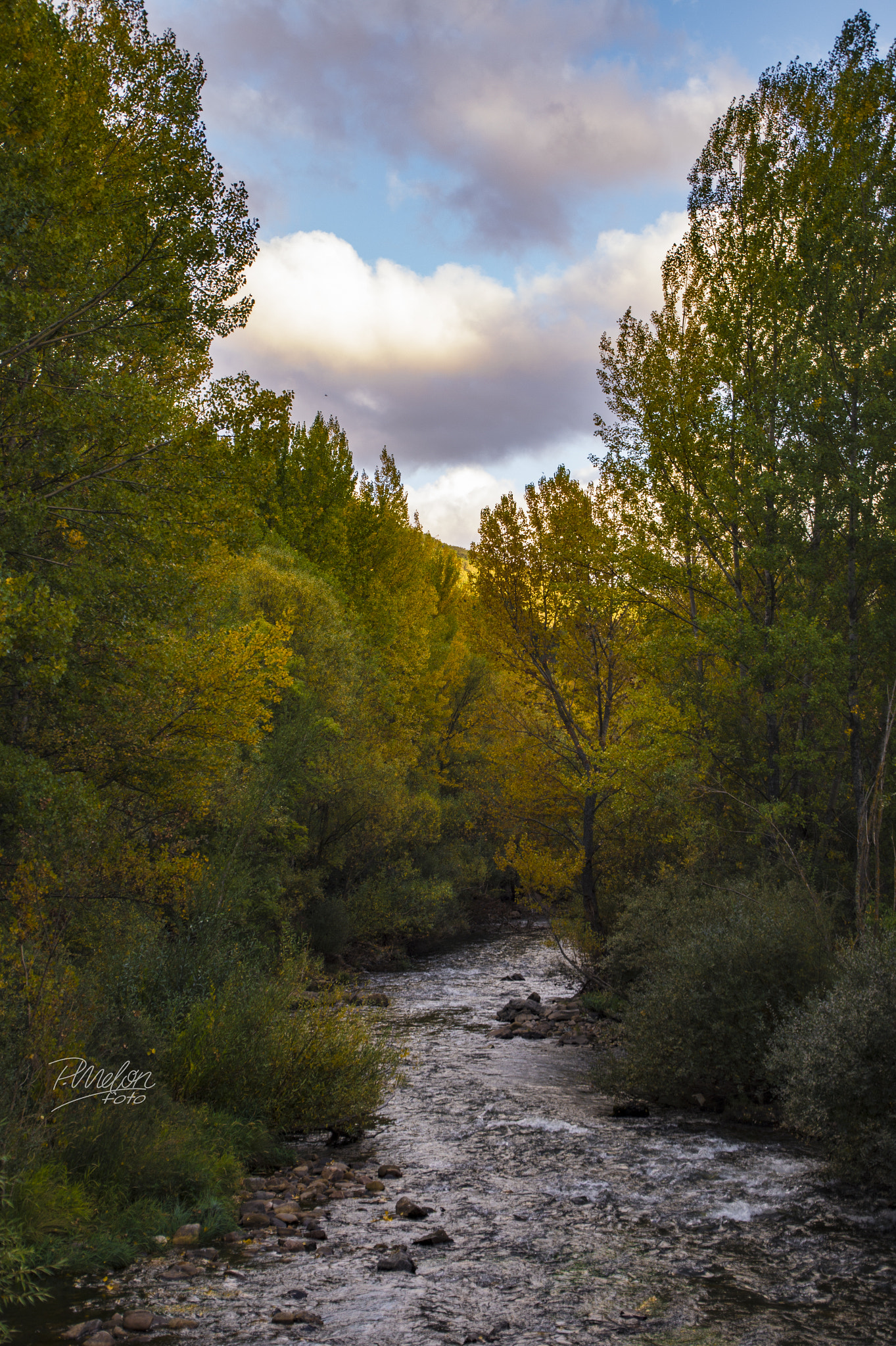 Sony SLT-A58 sample photo. Otoño en peredilla - león photography