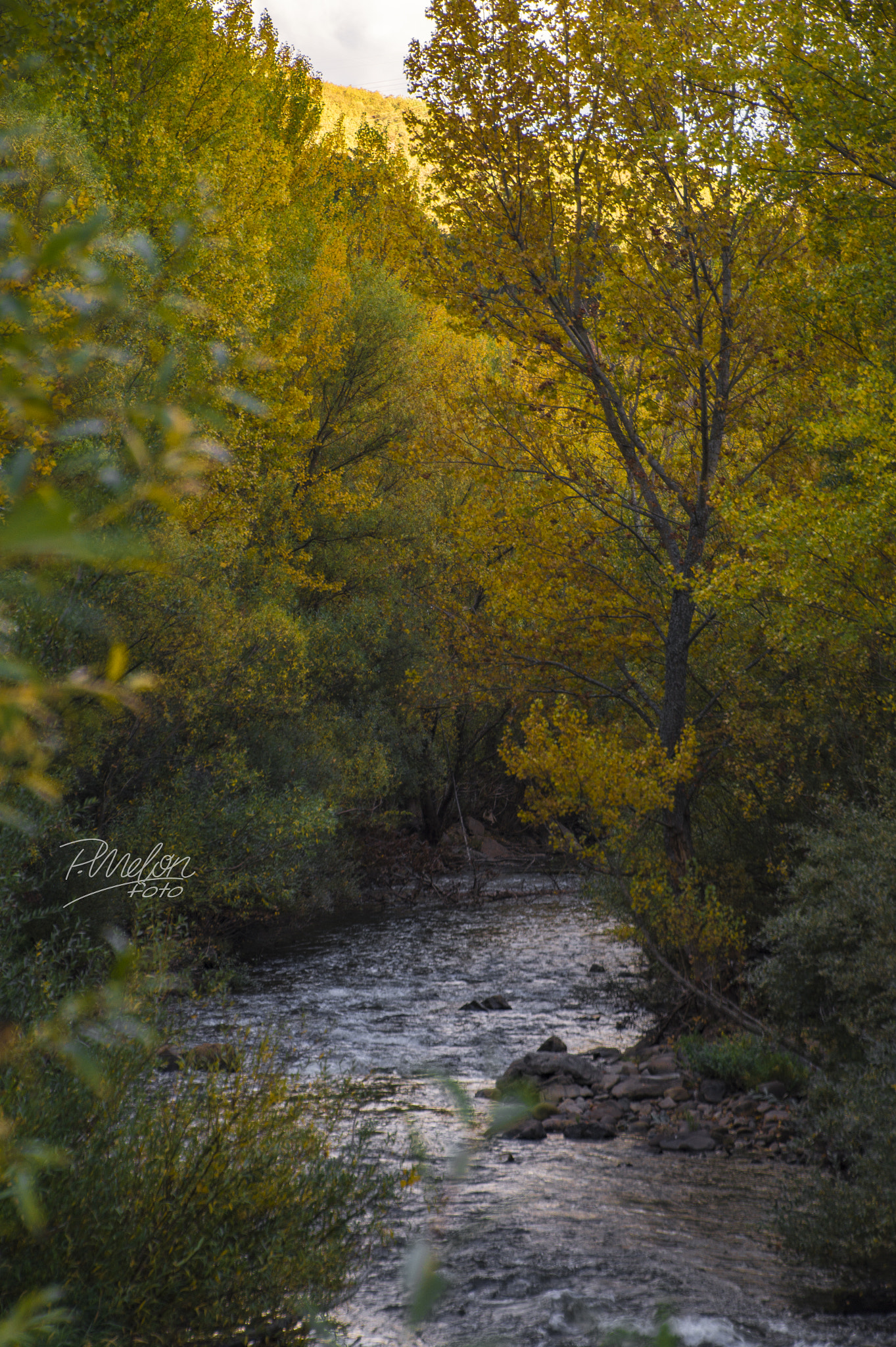 Sony SLT-A58 sample photo. Otoño en peredilla - león photography