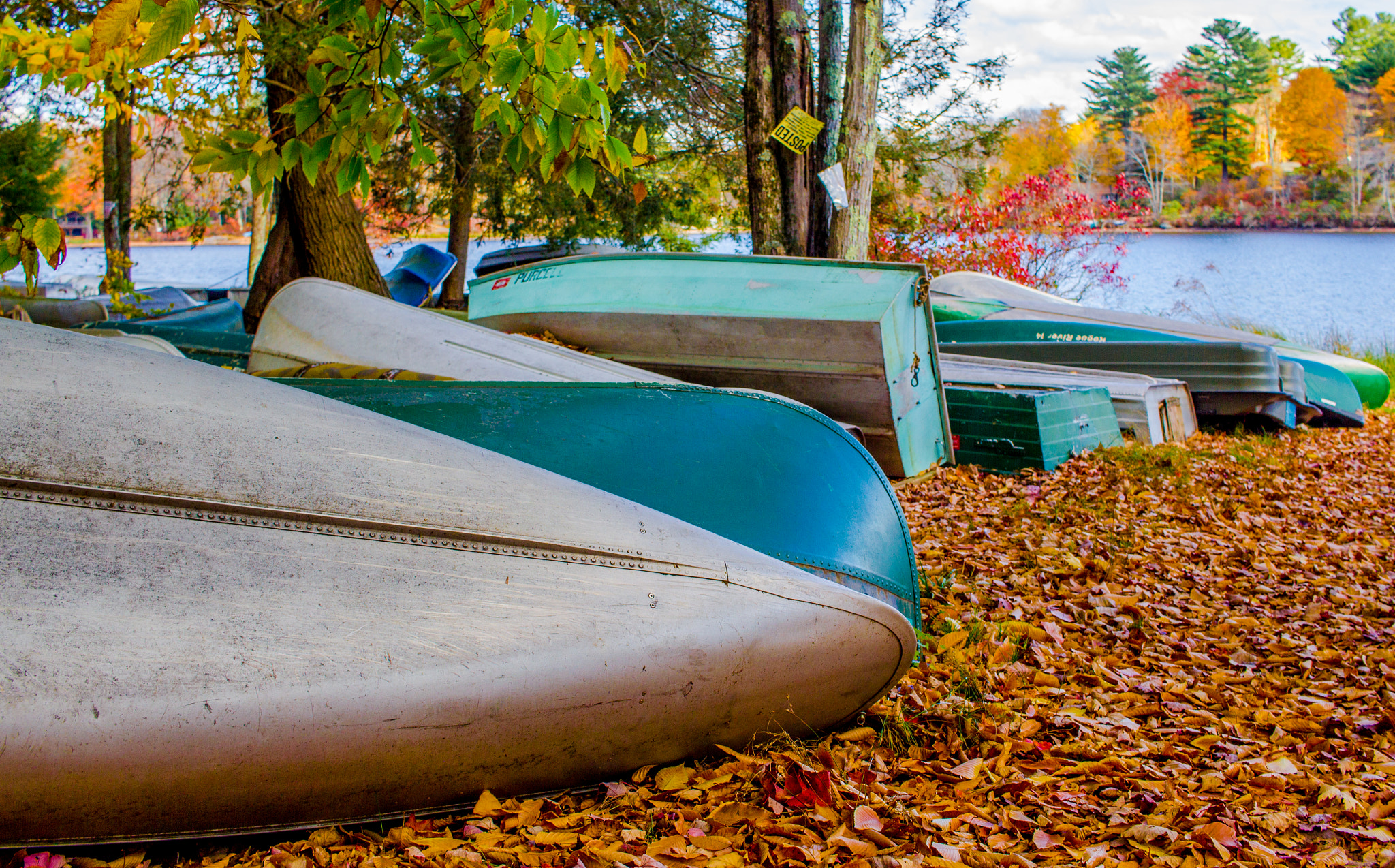 Canon EF-S 24mm F2.8 STM sample photo. Boat parking lot photography
