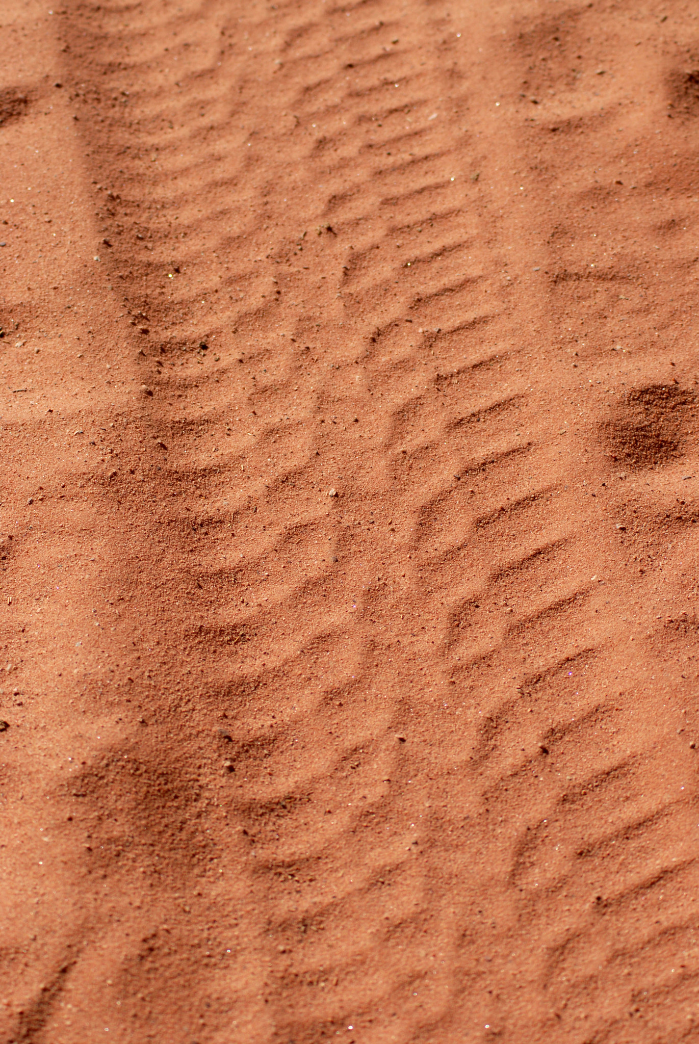 Nikon D200 sample photo. Jordan. wadi rum. photography