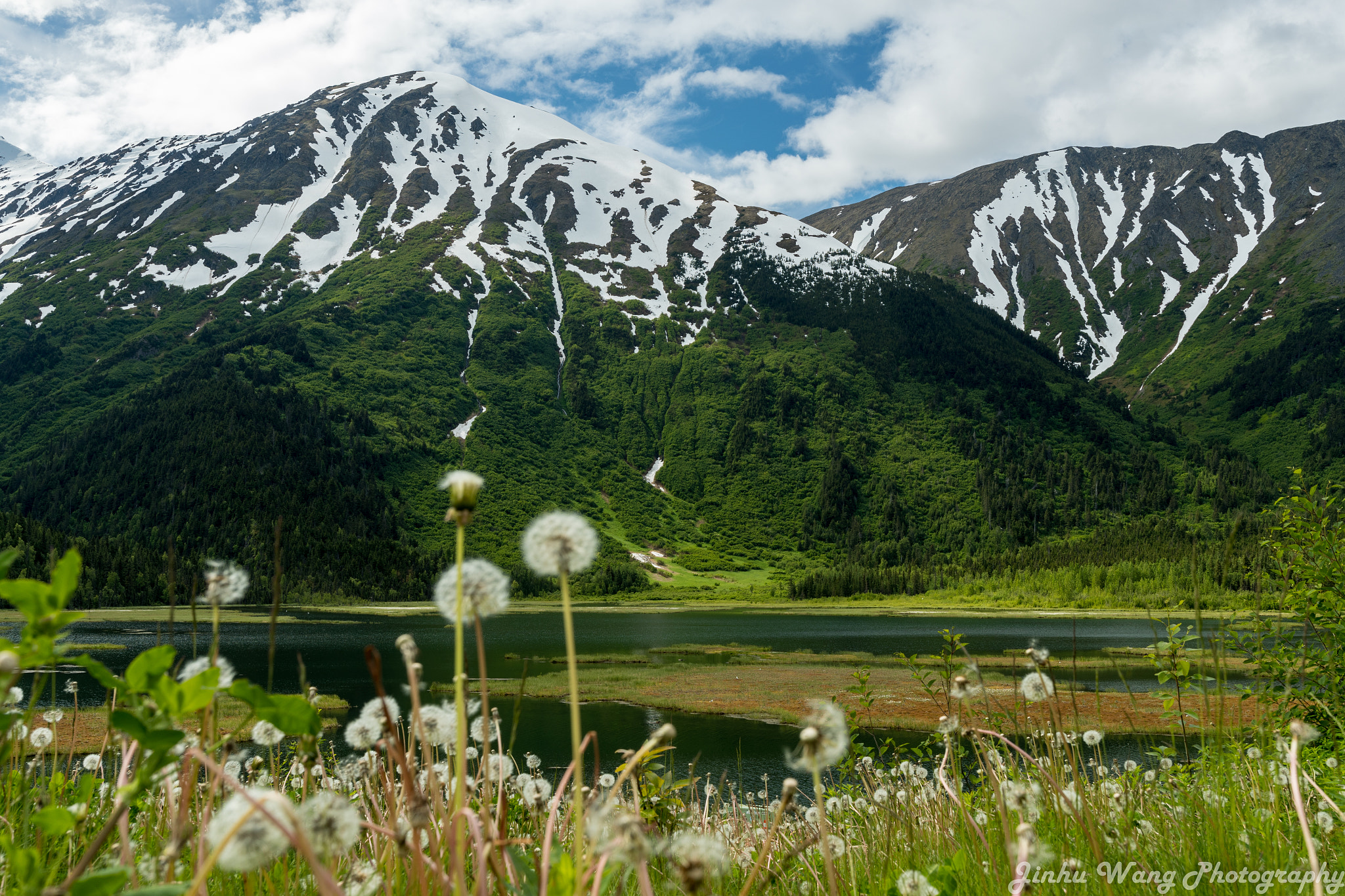 Canon EF 35mm F1.4L II USM sample photo. Green alaska photography