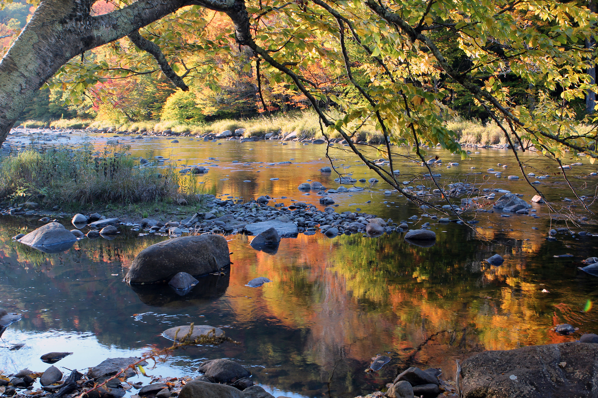 Canon EF 24-70mm F2.8L USM sample photo. Colors river photography
