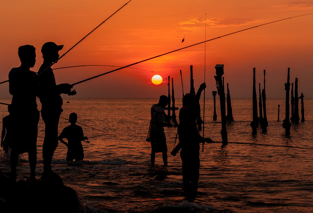 Nikon D300S sample photo. Fishing time photography