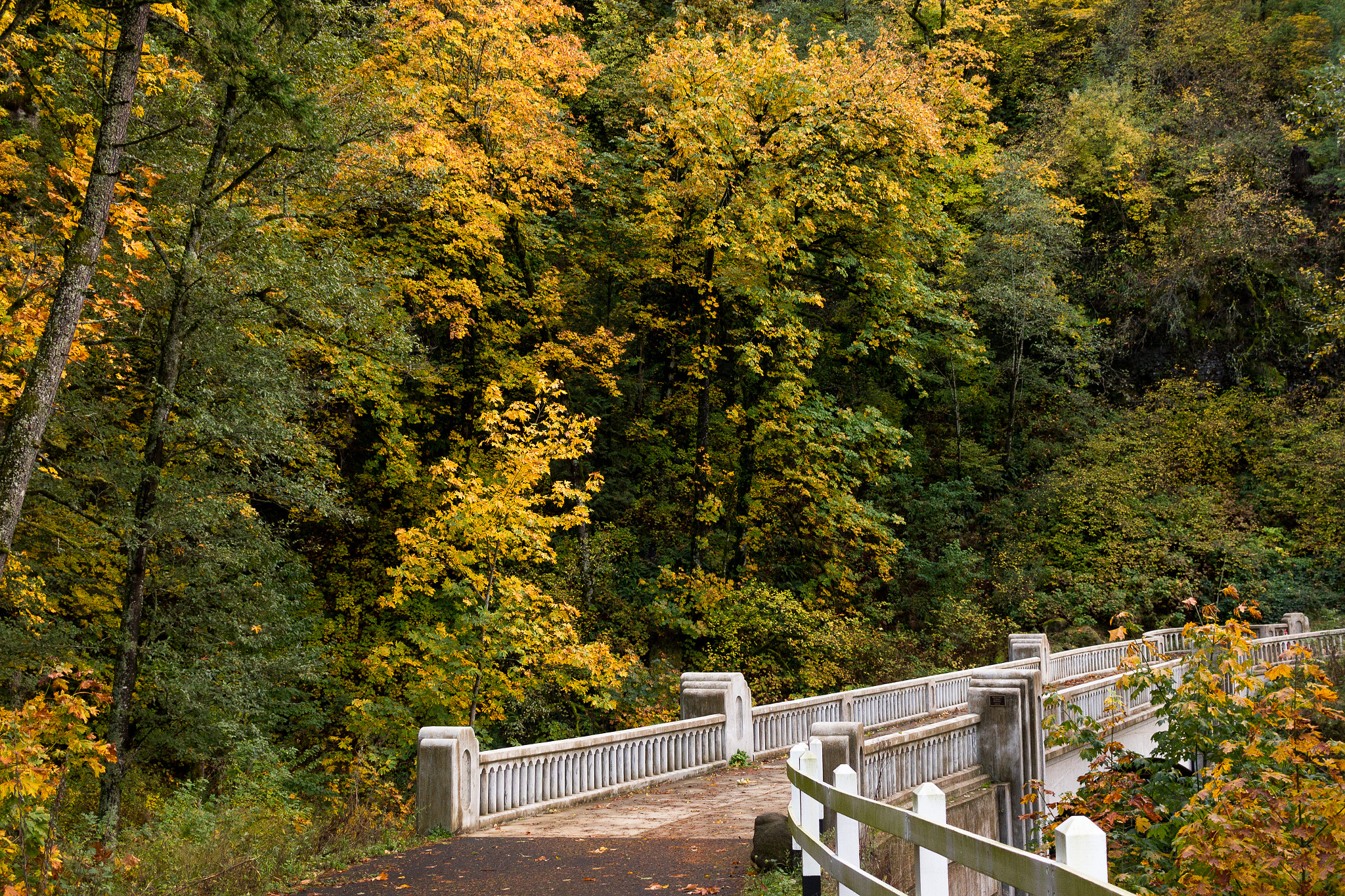Canon EF-S 24mm F2.8 STM sample photo. Mccord creek bridge photography
