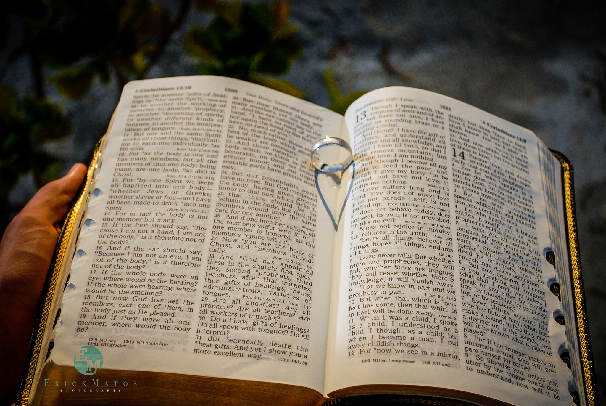 Nikon D200 sample photo. Mat photography