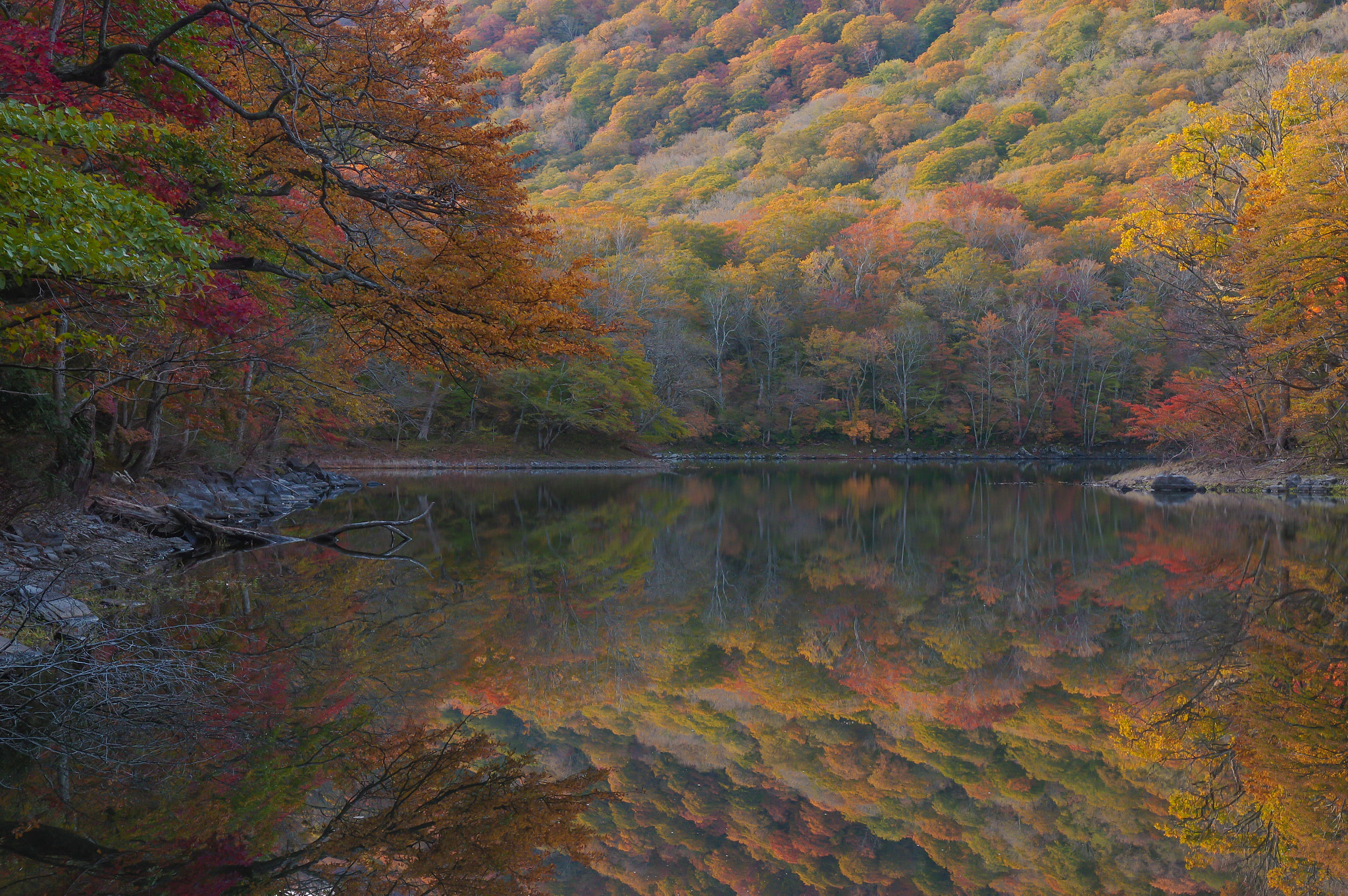 Pentax K-3 II sample photo. Aki photography