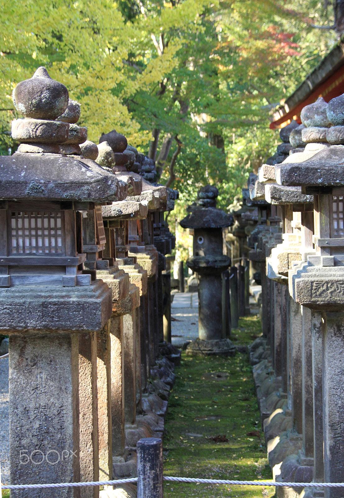 Canon EOS 500D (EOS Rebel T1i / EOS Kiss X3) sample photo. Lanterns@nara photography