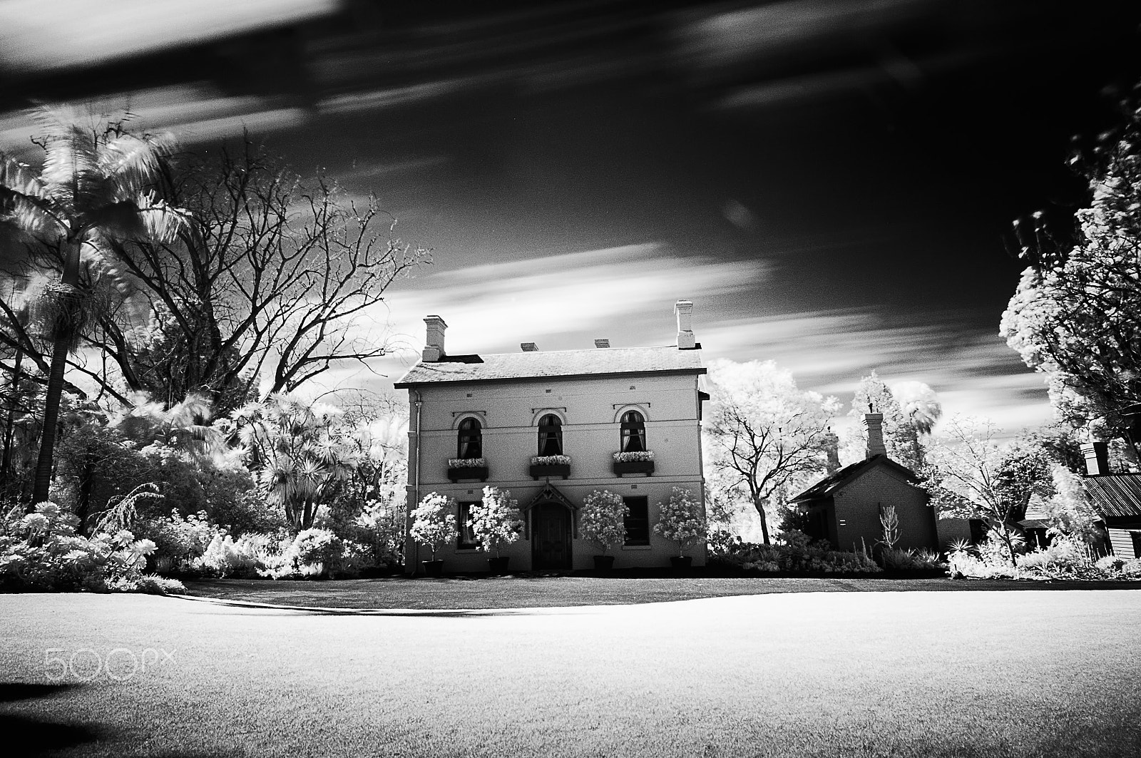 Nikon AF-S Nikkor 14-24mm F2.8G ED sample photo. Il mondo all'infrarosso photography
