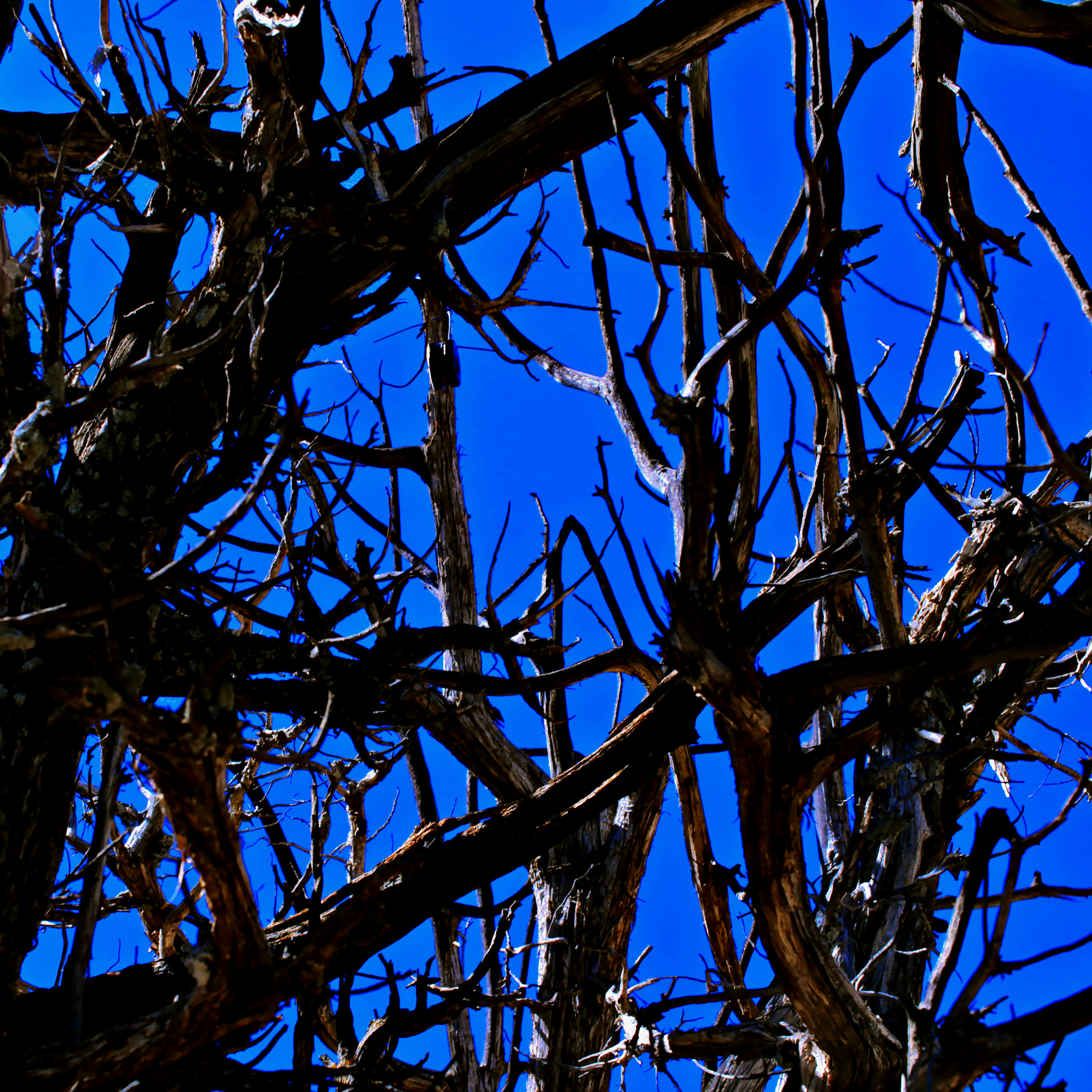 Canon EF-S 24mm F2.8 STM sample photo. Blue sky photography