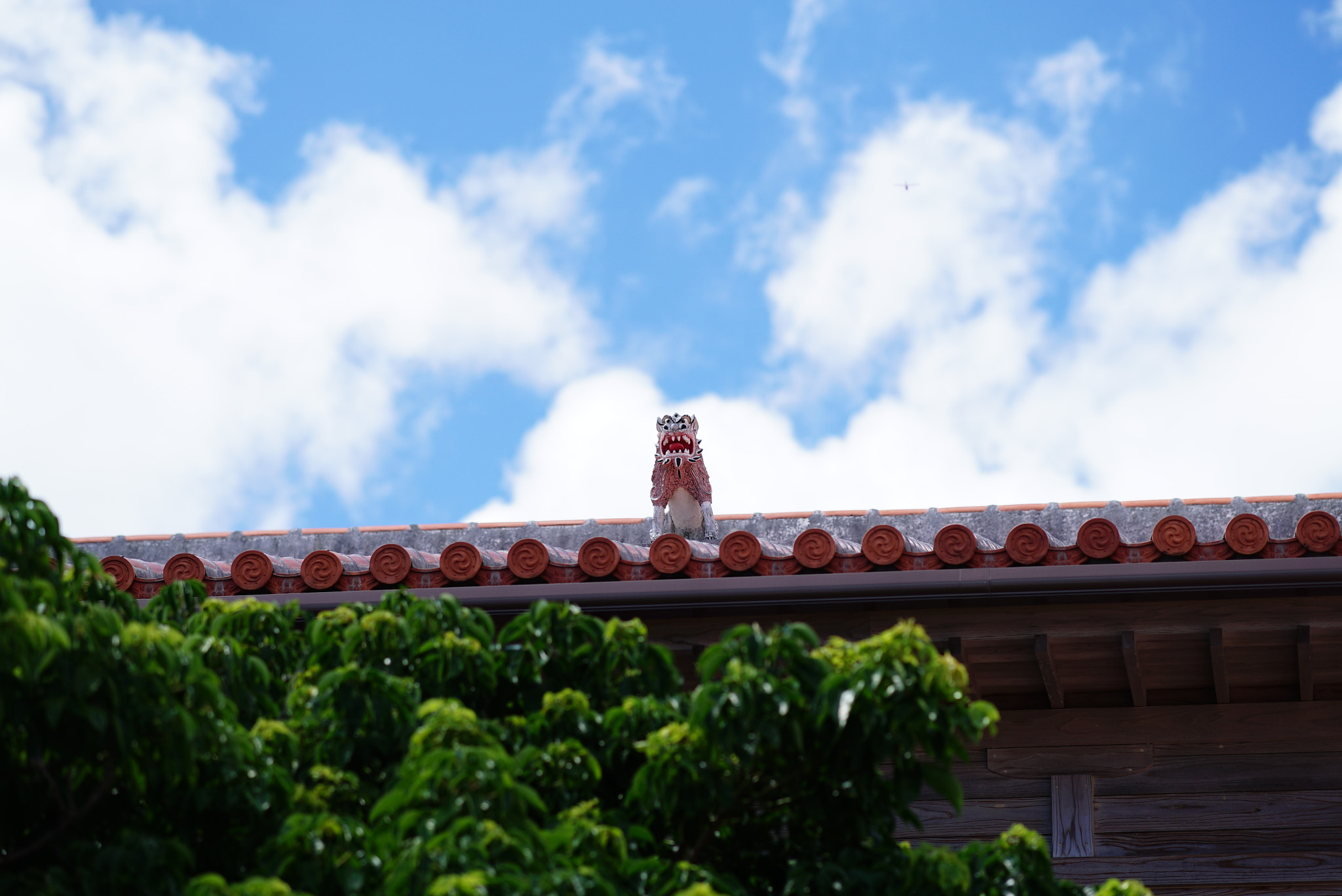 Sony Sonnar T* 135mm F1.8 ZA sample photo. Dsc photography