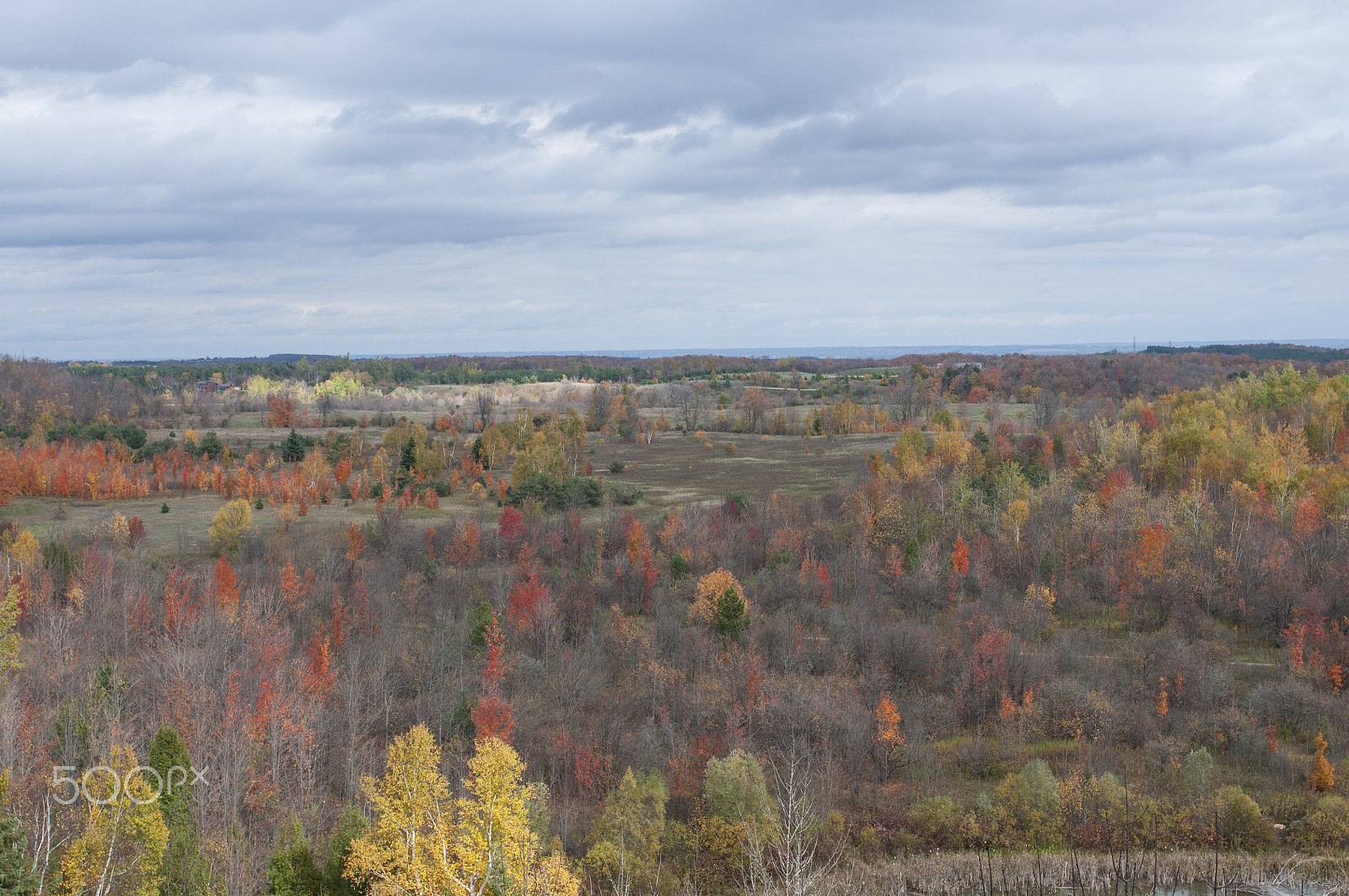 Nikon D90 + Sigma 35mm F1.4 DG HSM Art sample photo. Mono cliffs provincial park, ontario photography