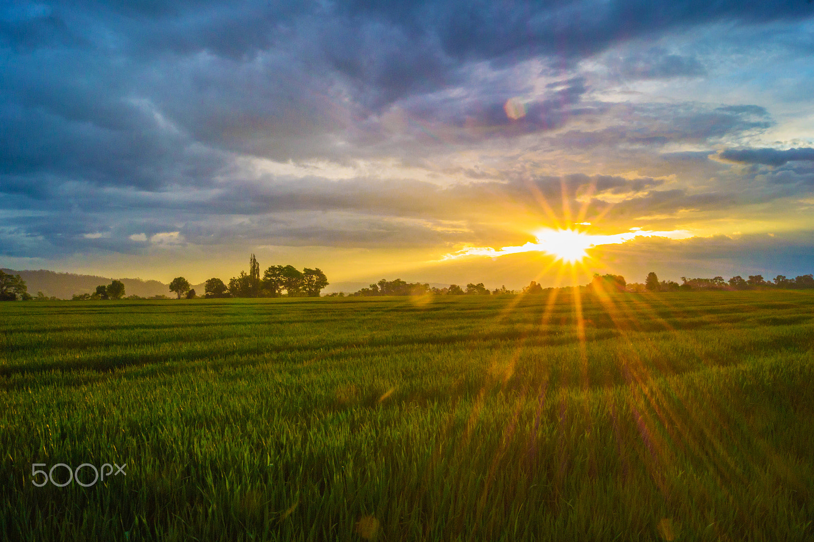 Sony SLT-A58 sample photo. Countryside photography