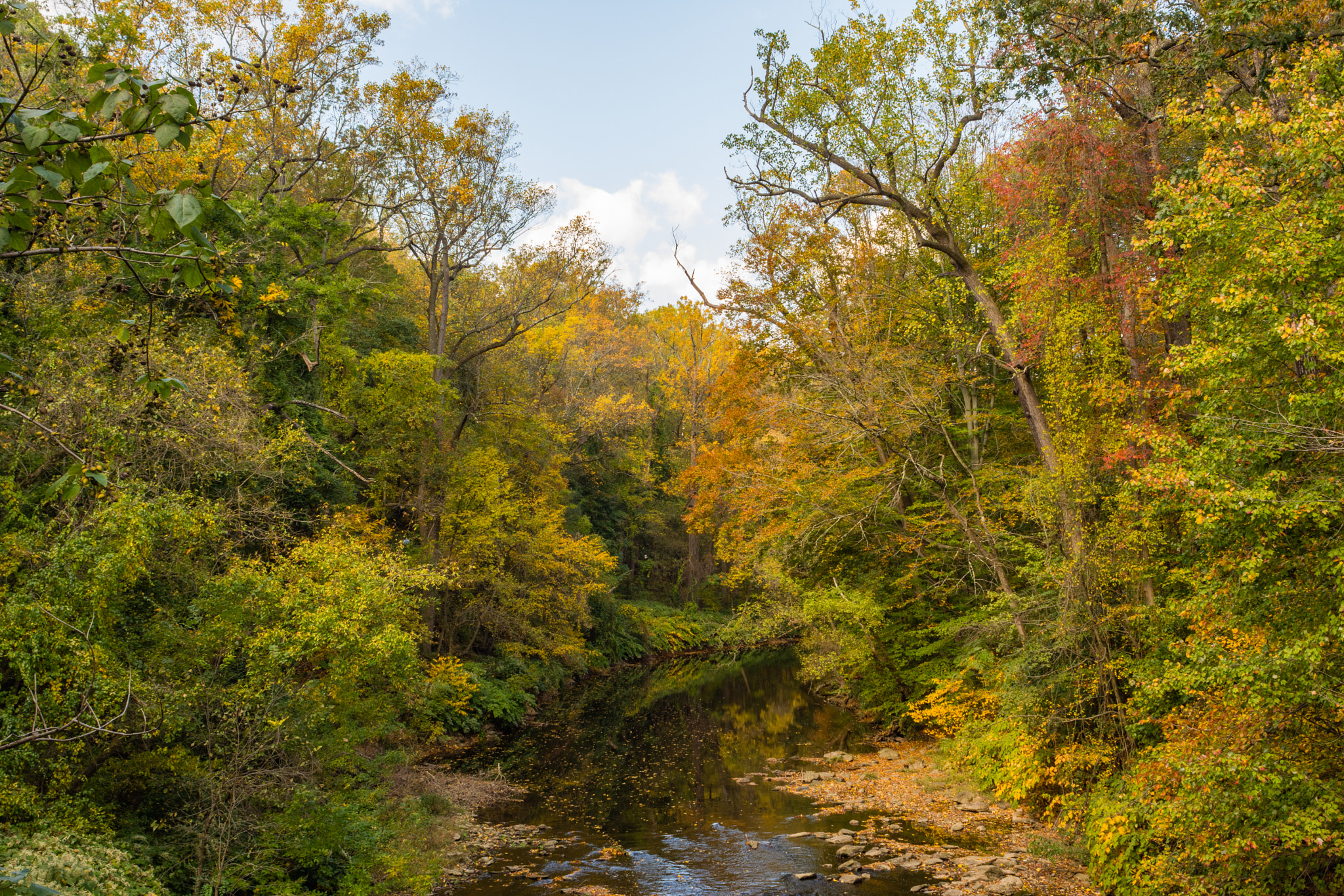 Nikon D7200 sample photo. Wissahickon valley park photography