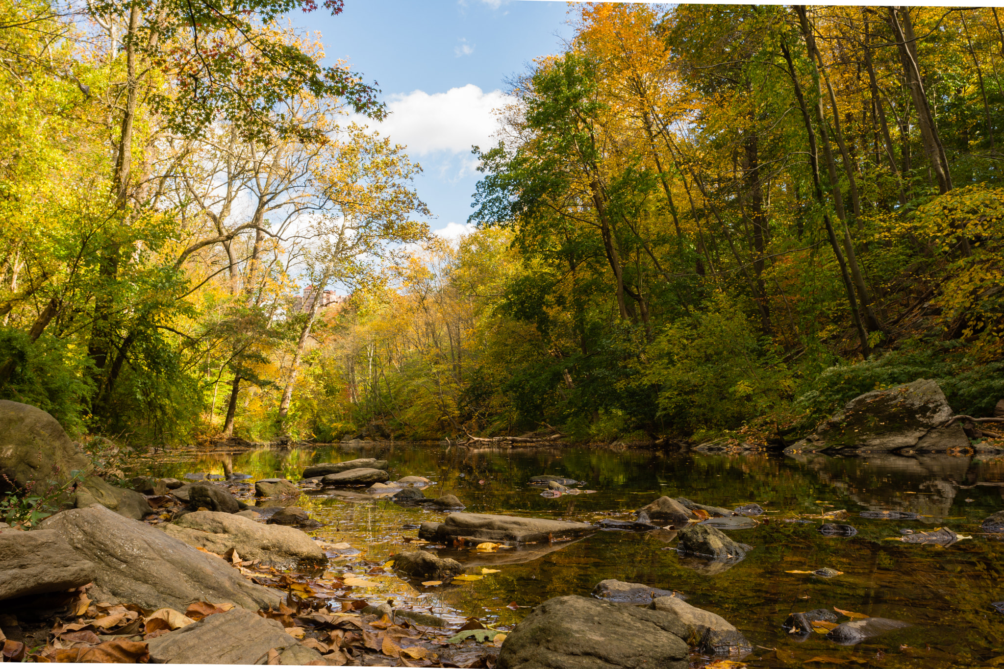 Nikon D7200 + Nikon AF Nikkor 24mm F2.8D sample photo. Wissahickon valley park photography