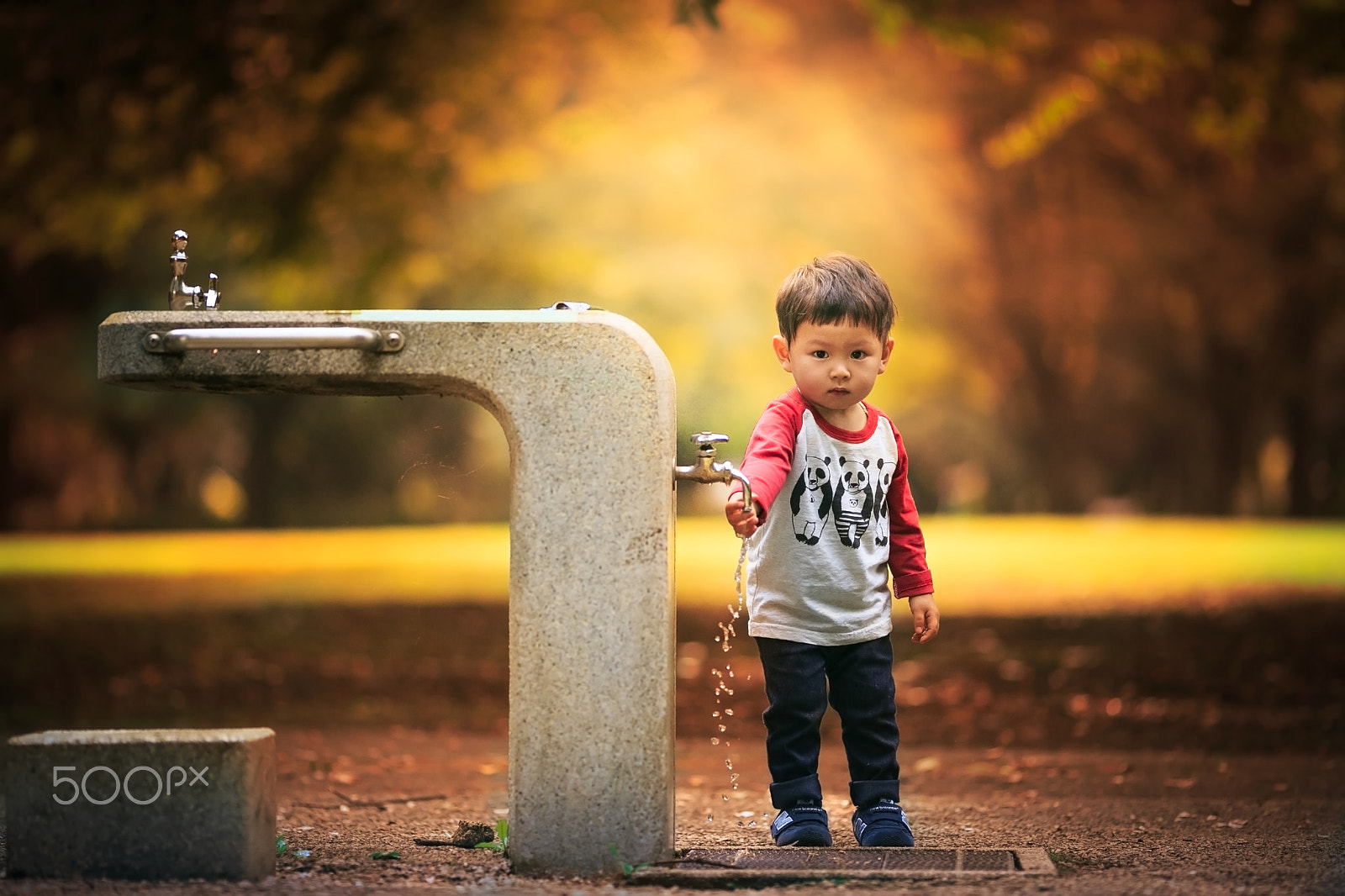 Canon EOS-1D X + Canon EF 135mm F2L USM sample photo. Yuki photography