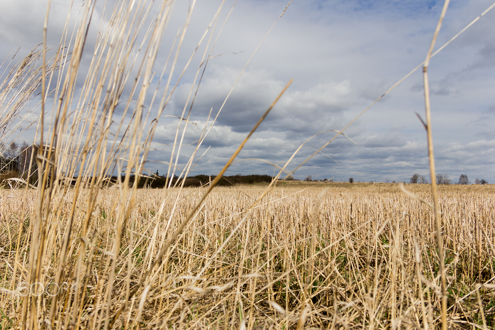 Sigma 18-125mm F3.8-5.6 DC OS HSM sample photo. Farmland photography