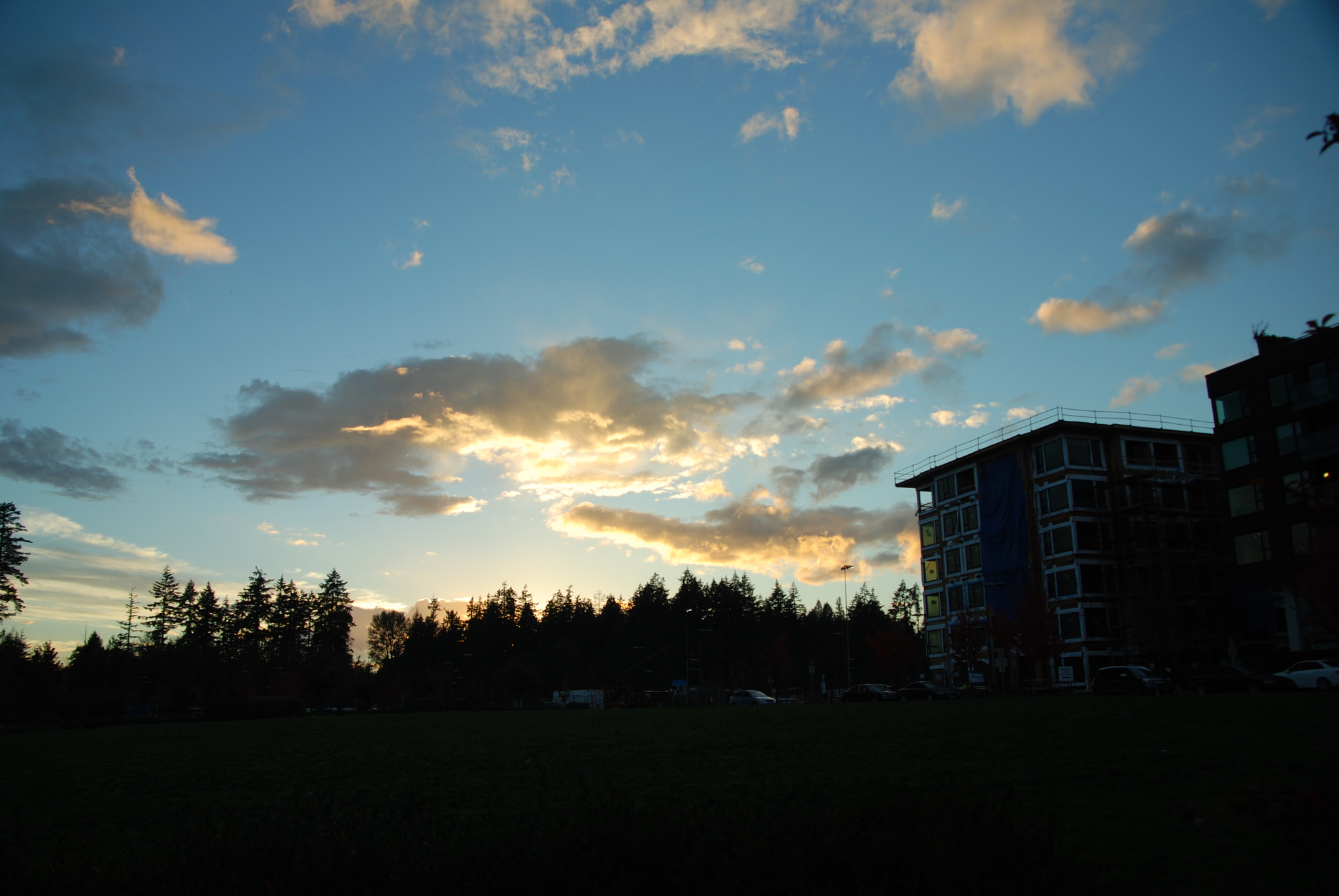 Nikon D80 sample photo