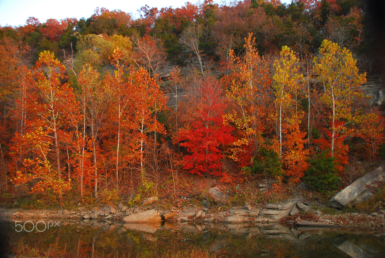 Nikon D80 + Sigma 18-200mm F3.5-6.3 DC OS HSM sample photo. Fall splender photography