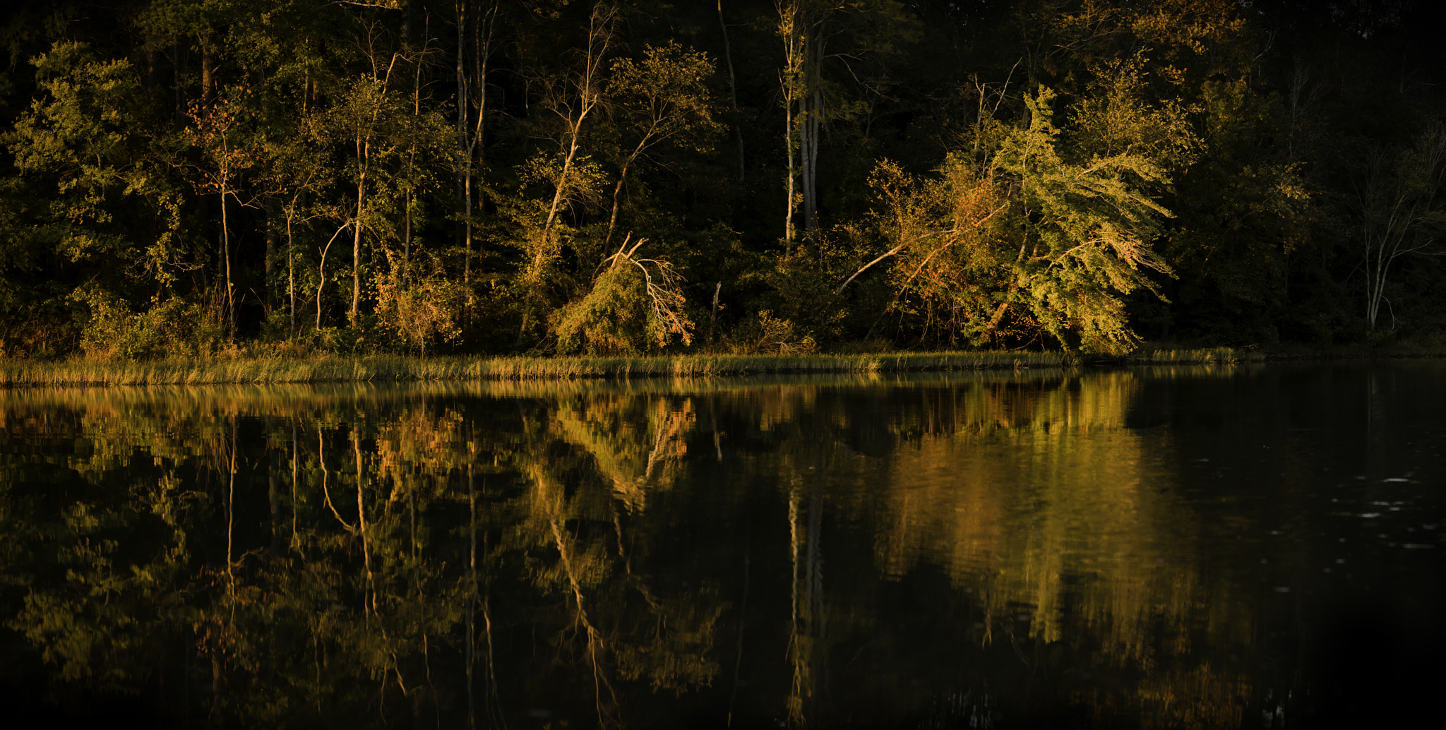 Pentax K-1 sample photo. Autumn on the lake photography