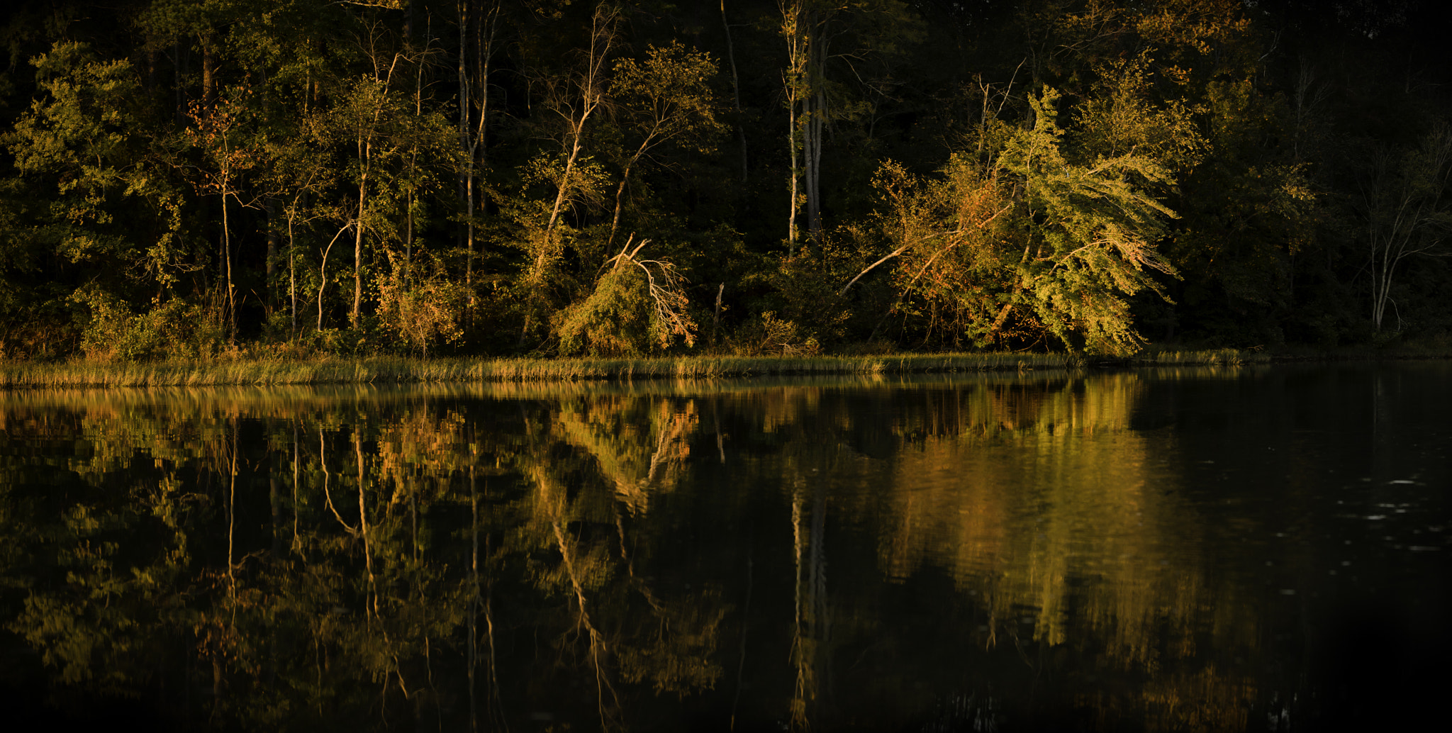 Pentax K-1 + Pentax D FA* 70-200mm F2.8ED DC AW sample photo. Autumn on the lake photography