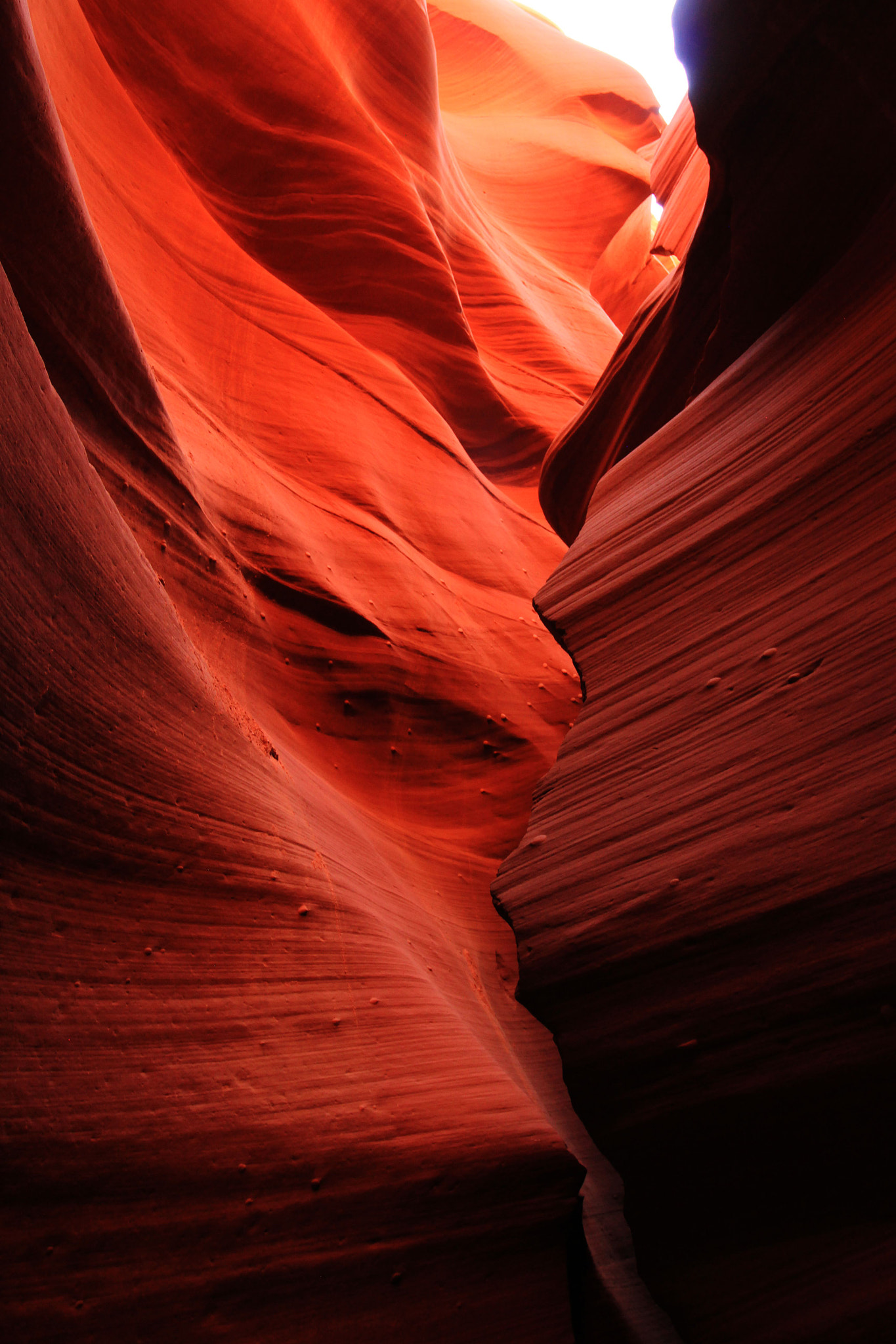 Canon EOS 550D (EOS Rebel T2i / EOS Kiss X4) sample photo. Antelope canyon photography
