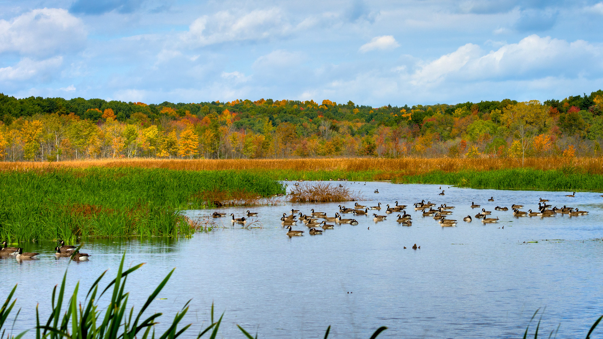 Nikon AF-S Nikkor 70-200mm F4G ED VR sample photo. On mendon pond photography