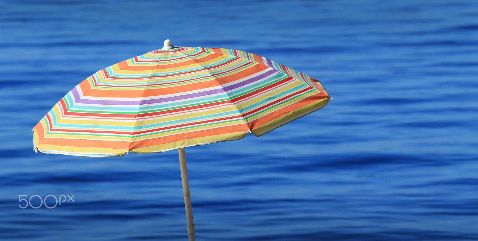 Canon EF 70-200mm F4L IS USM sample photo. Isolated moment photography