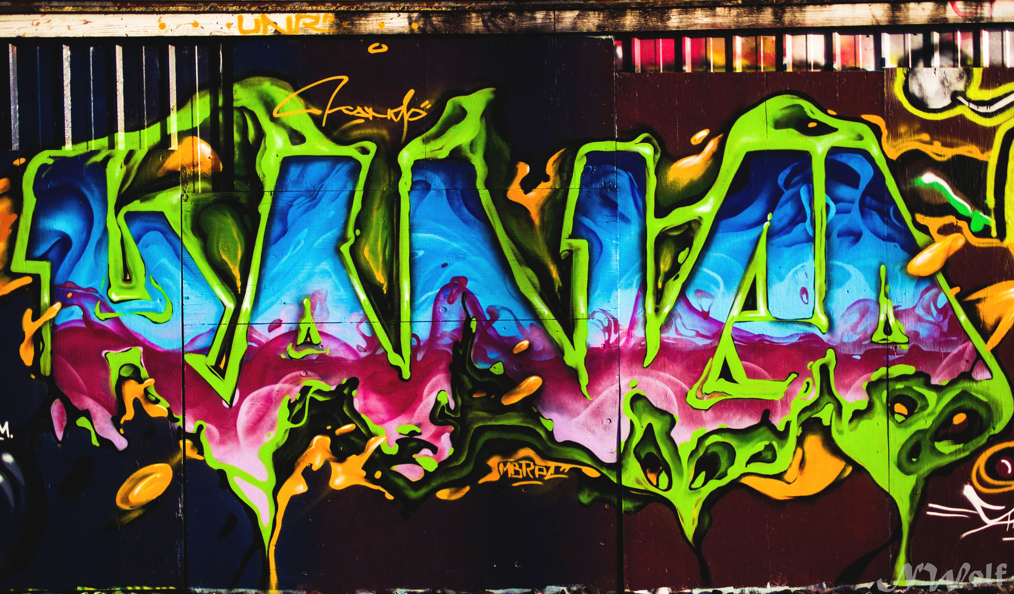 Sony Alpha DSLR-A330 sample photo. Slime photography