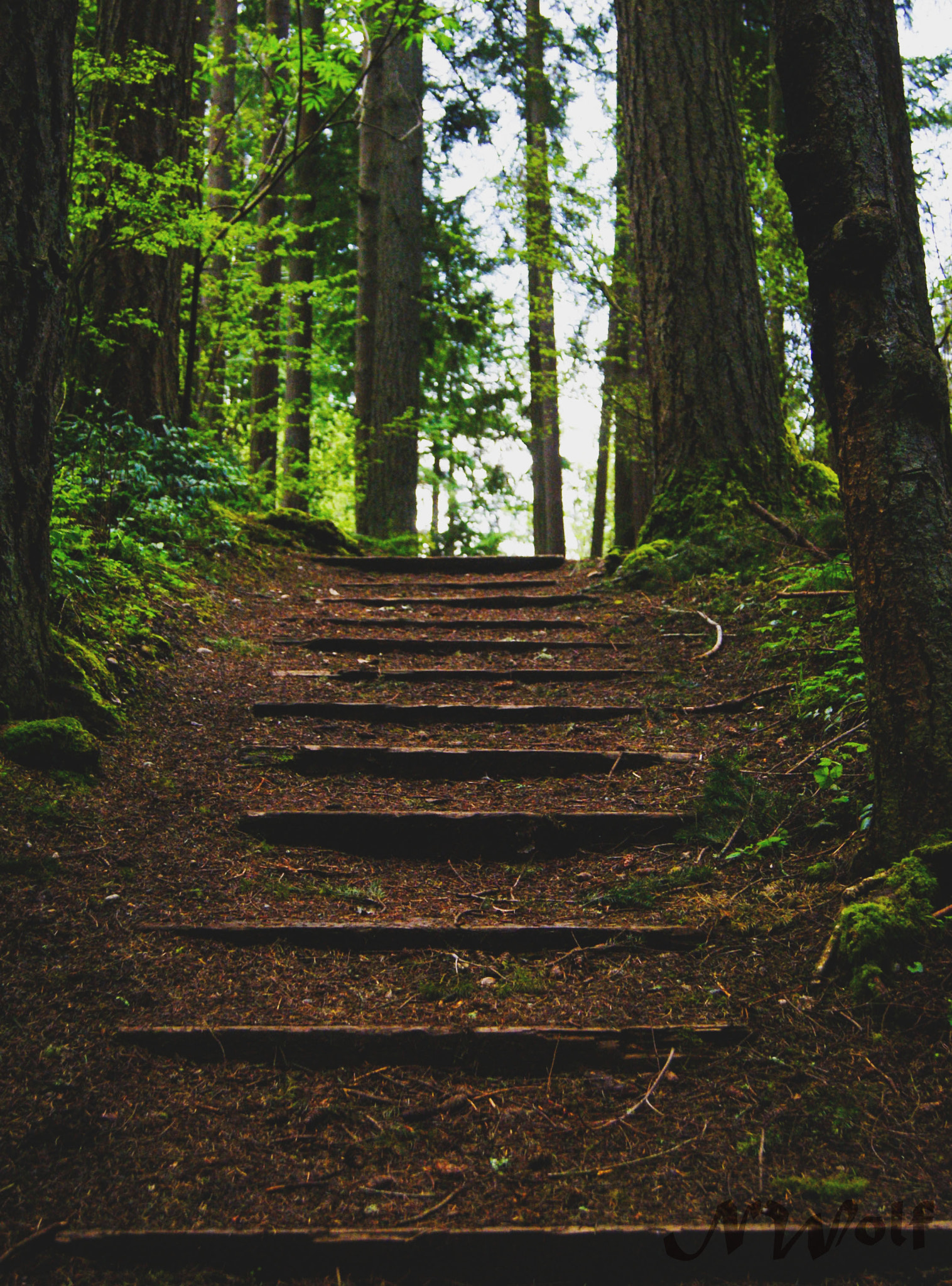 Sony DT 18-55mm F3.5-5.6 SAM II sample photo. The climb photography