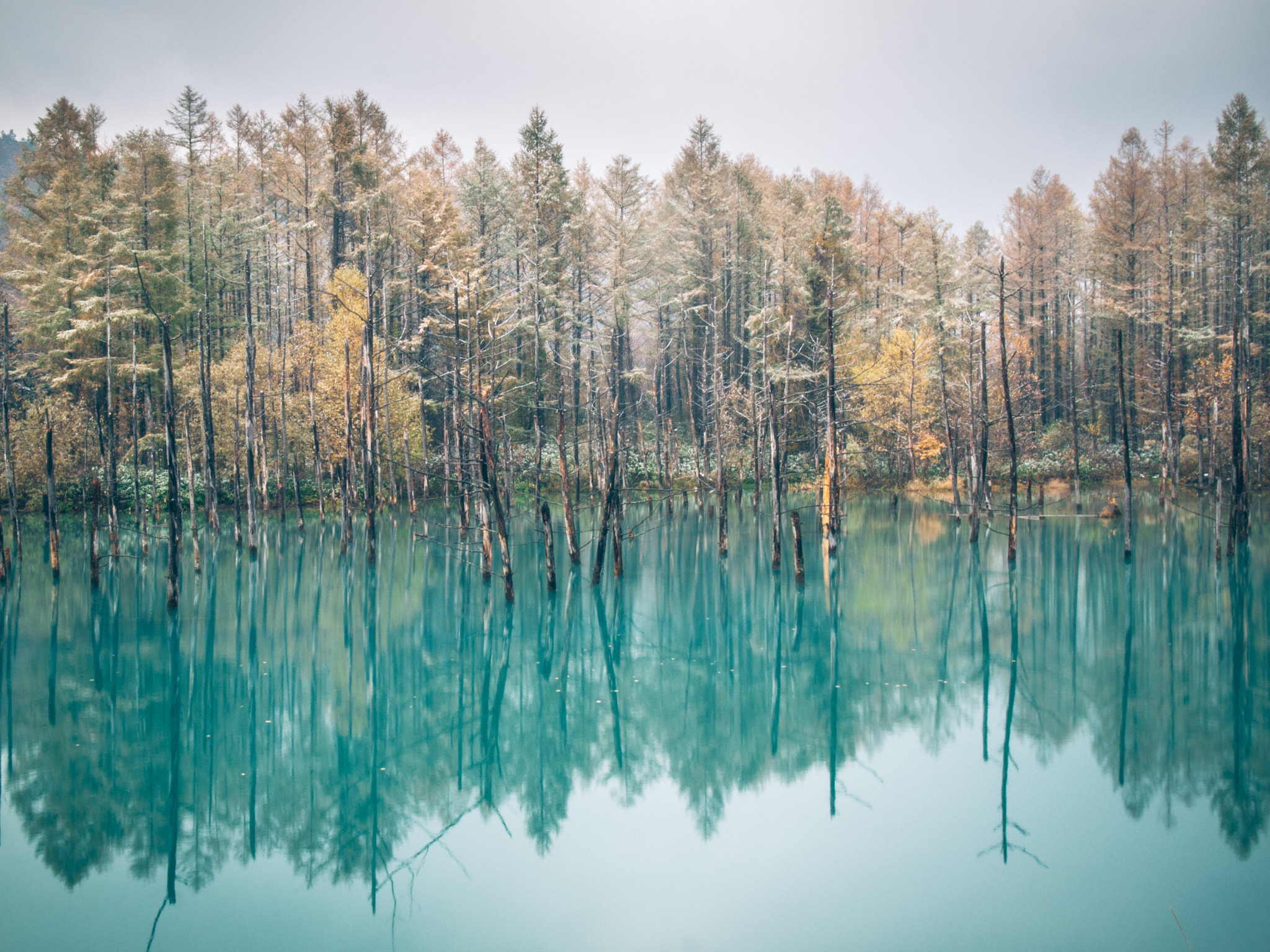Olympus PEN E-P1 sample photo. Blue pond photography