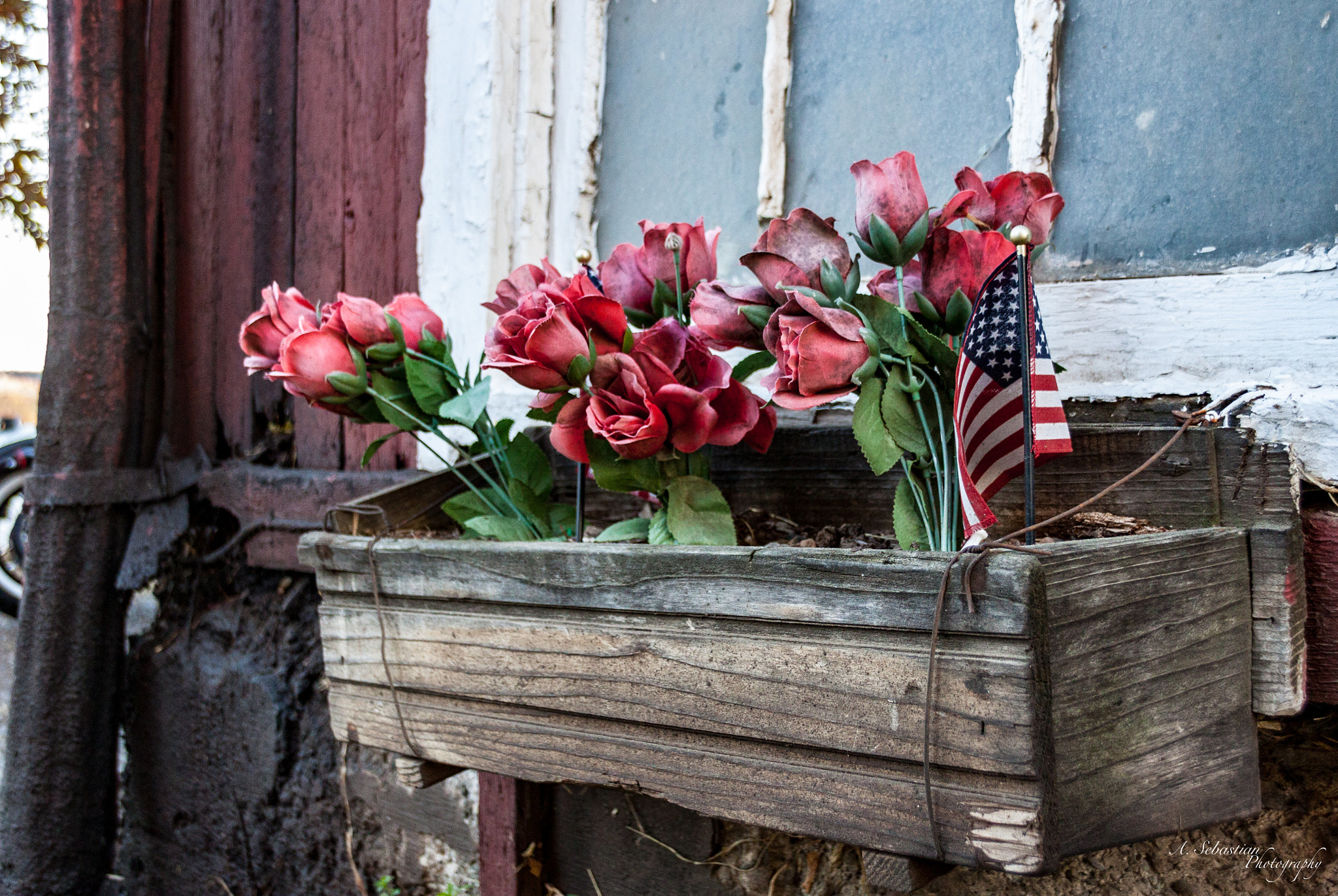 Sigma 18-250mm F3.5-6.3 DC OS HSM sample photo. Durfee hill flower box photography