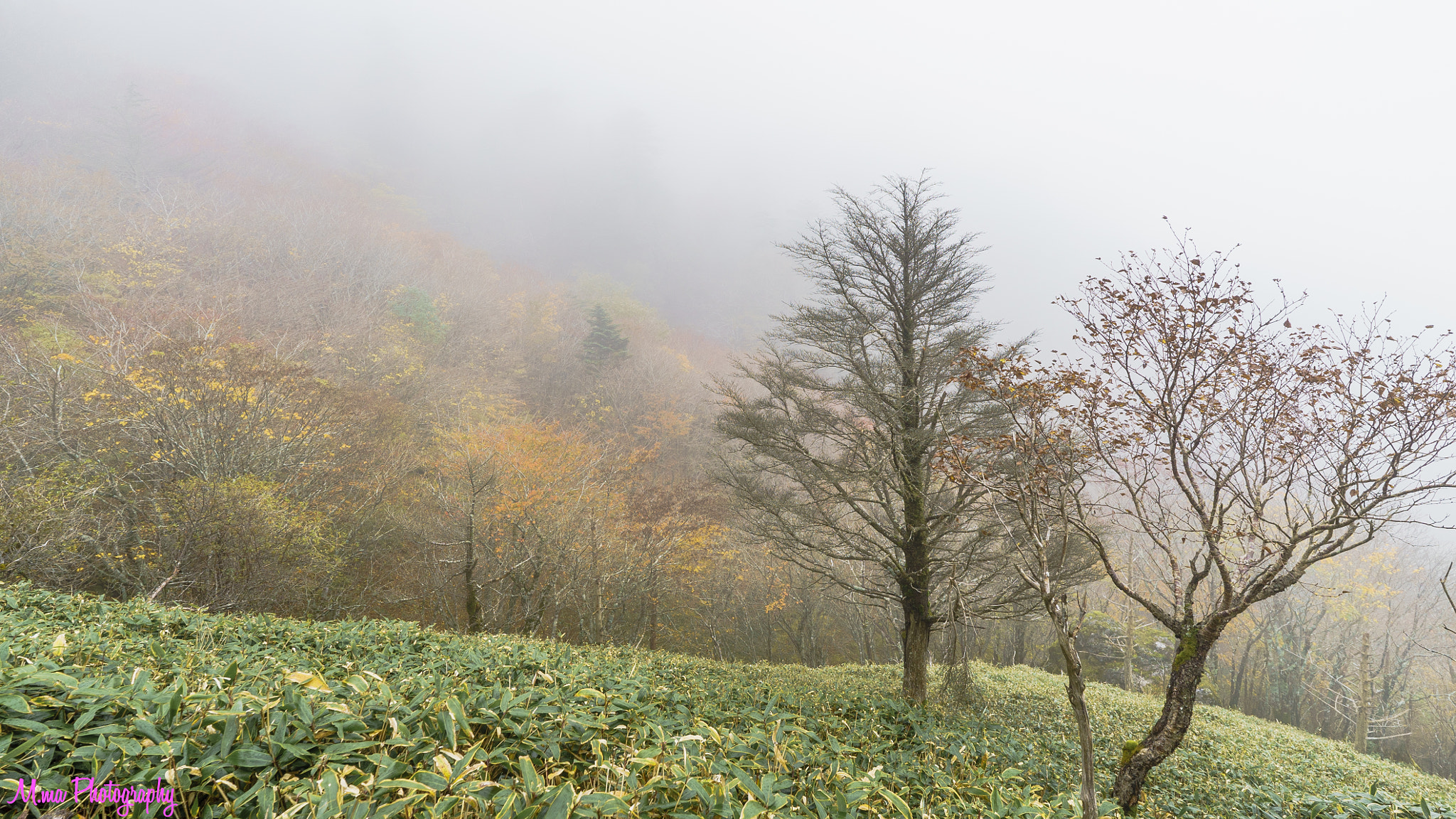 E 18mm F2.8 sample photo. Beautiful haze photography