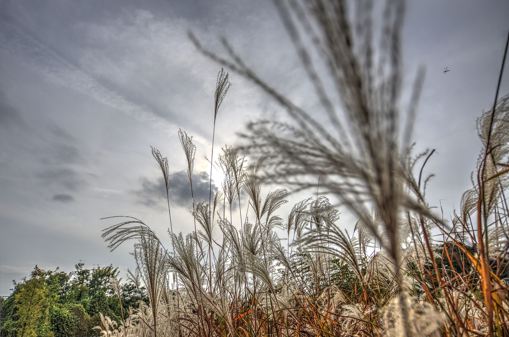 Sigma 10-20mm F3.5 EX DC HSM sample photo. Near by ungilsan station photography