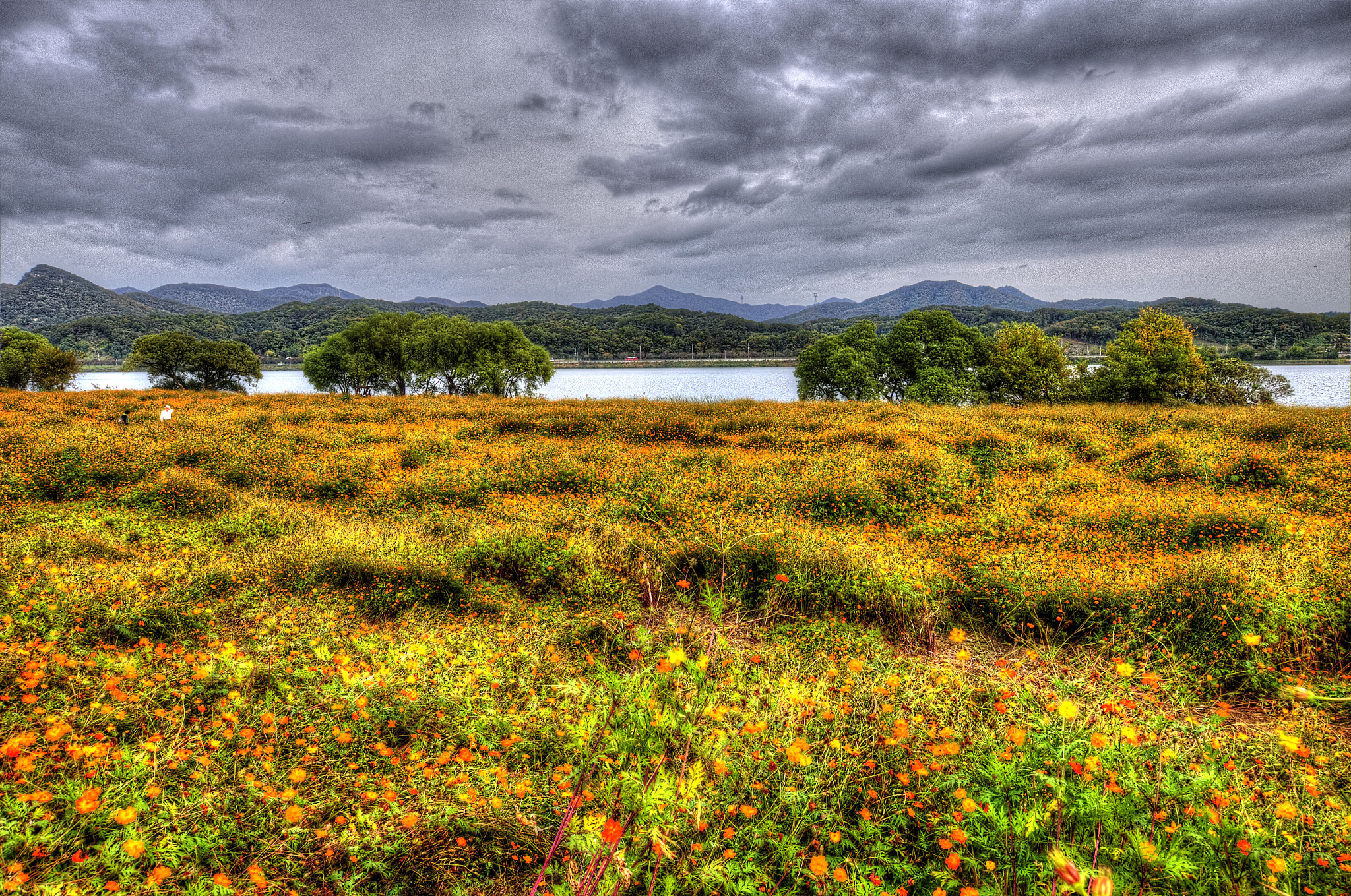 Sigma 10-20mm F3.5 EX DC HSM sample photo. Near by ungilsan station 2 photography