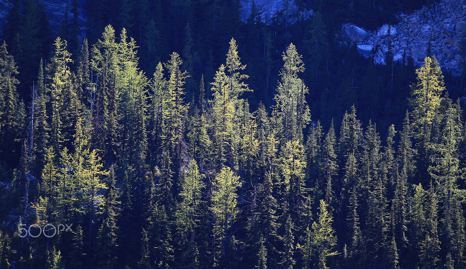 Canon EF 70-200mm F4L IS USM sample photo. Dwindling light -washington pass photography