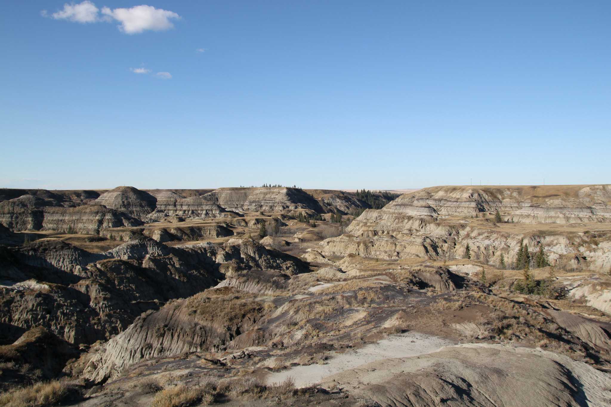 Canon EOS 500D (EOS Rebel T1i / EOS Kiss X3) sample photo. Horseshoe canyon photography