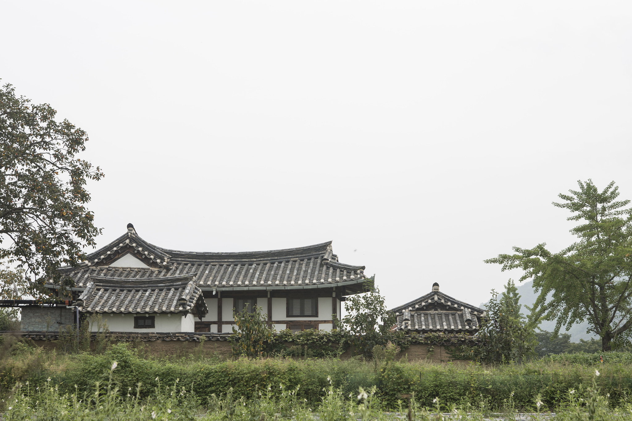 Canon EOS 6D + EF28-70mm f/2.8L USM sample photo. Andong hahoe village photography
