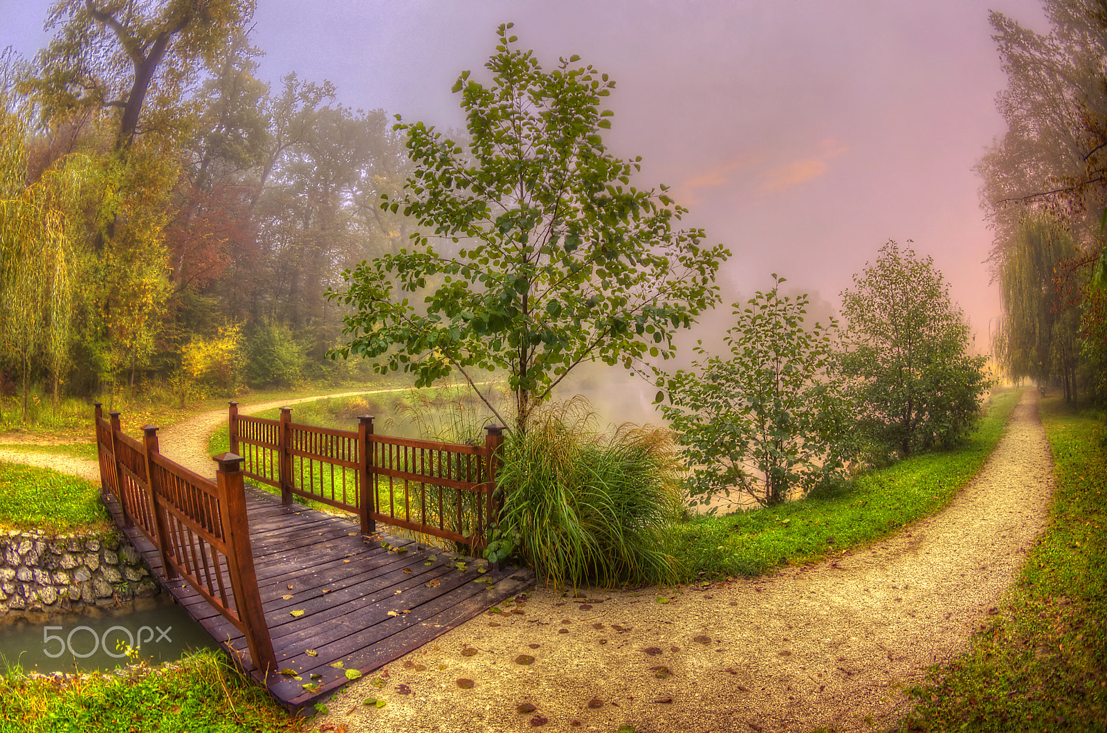 Pentax K-5 sample photo. Foggy autumn morning photography