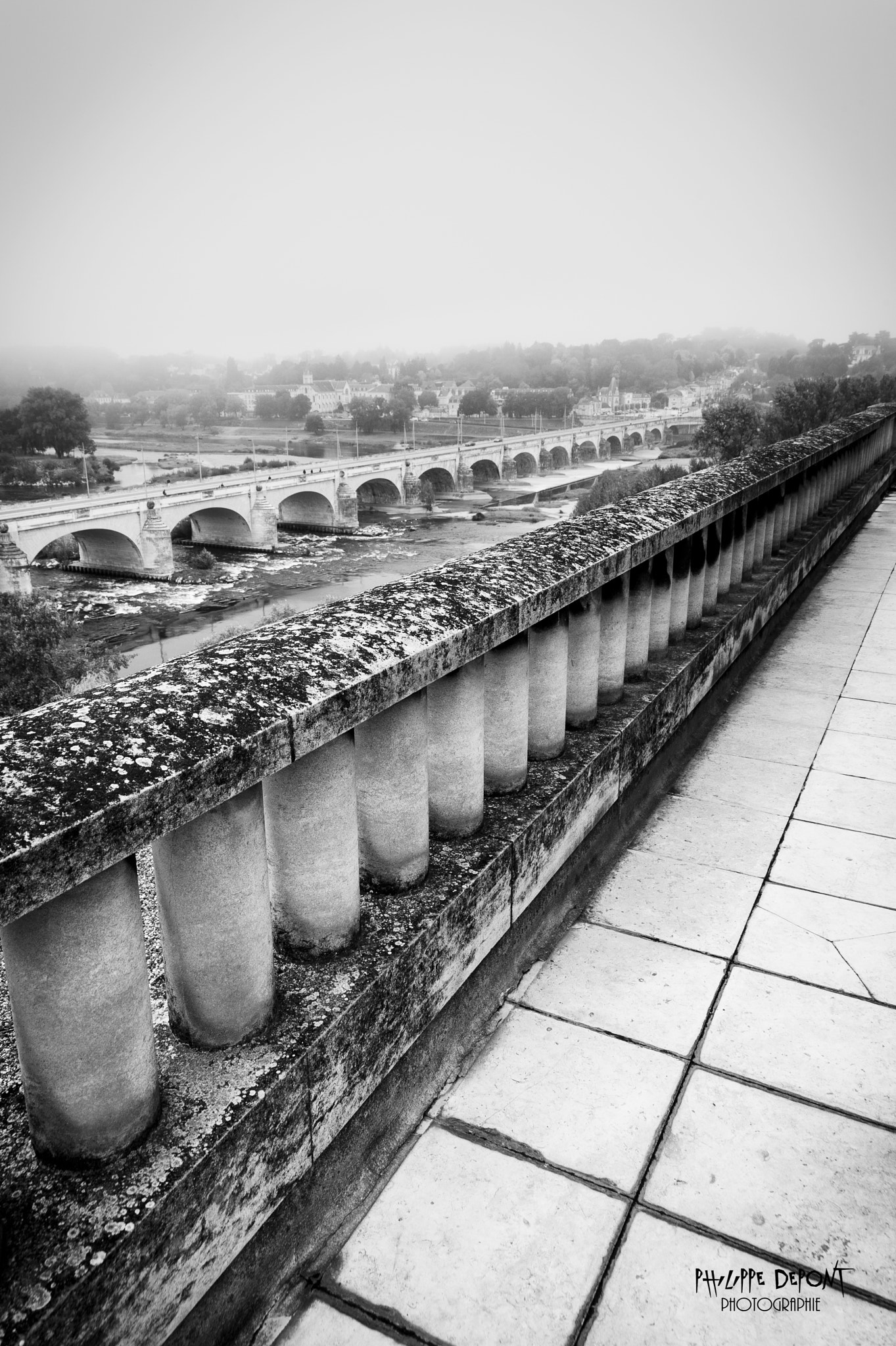 Nikon D3 sample photo. Bridge and fog photography