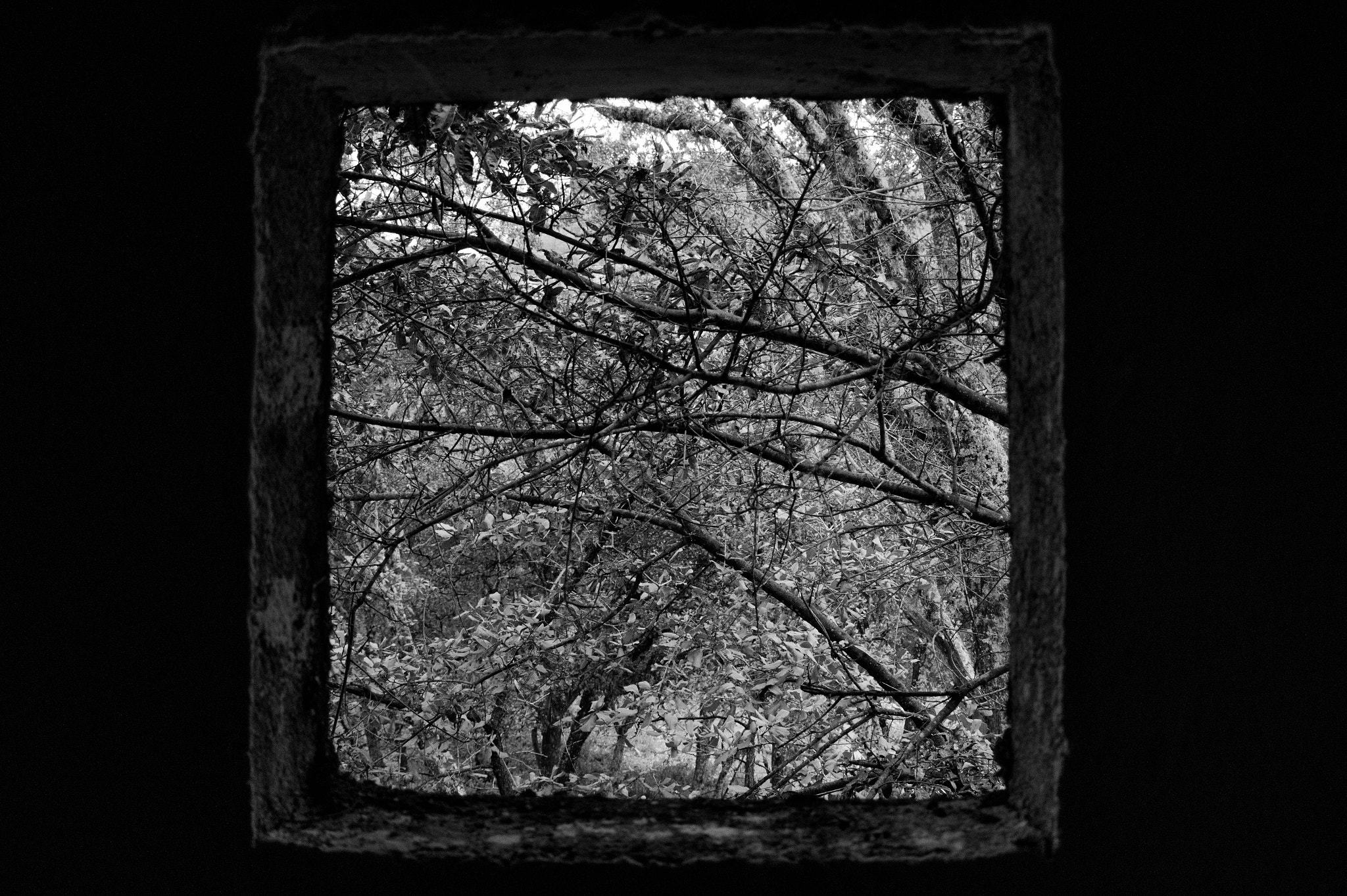 E 18-50mm F4-5.6 sample photo. Old window photography