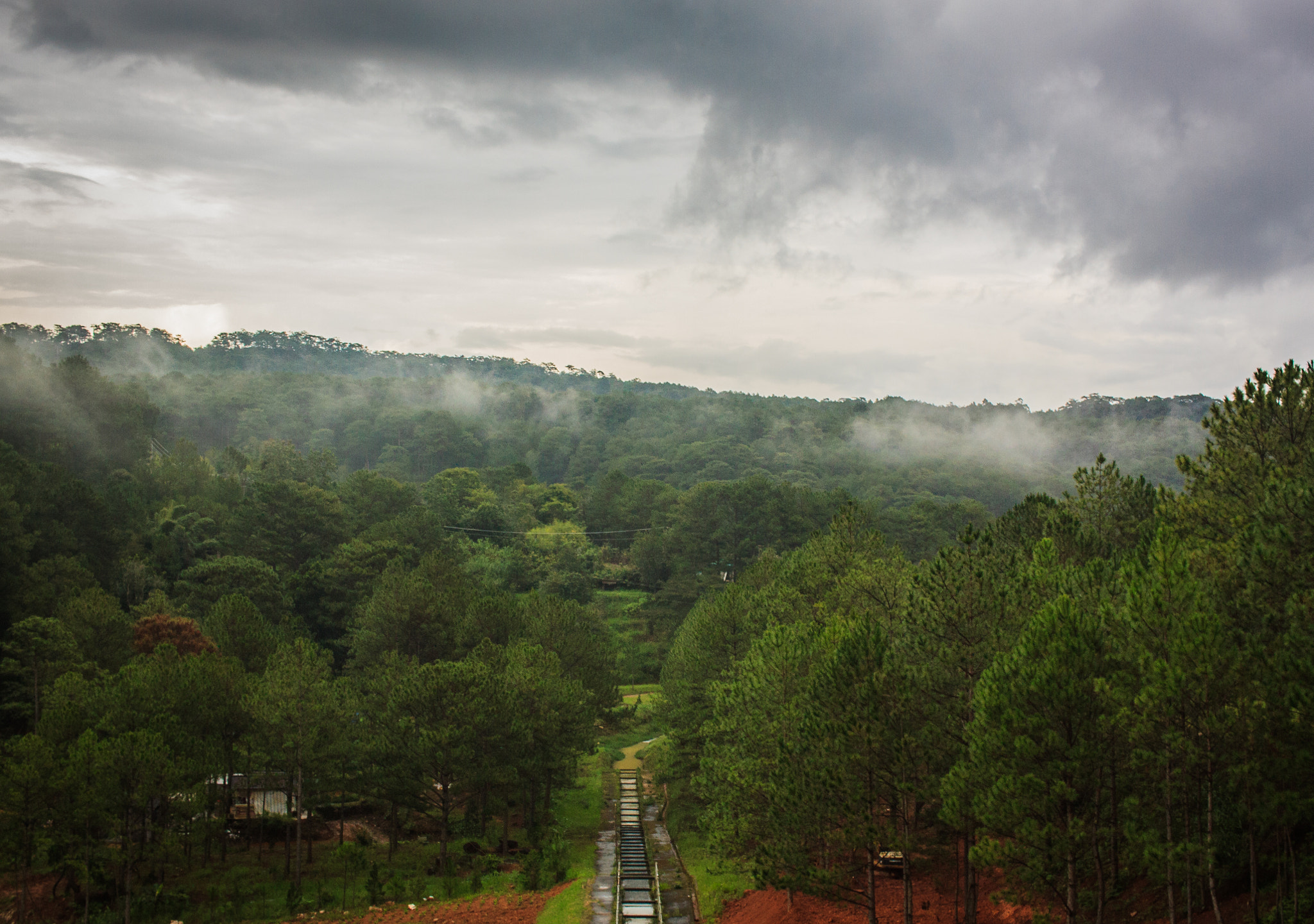 Canon EOS 50D + Canon EF-S 24mm F2.8 STM sample photo. Da lat forest photography