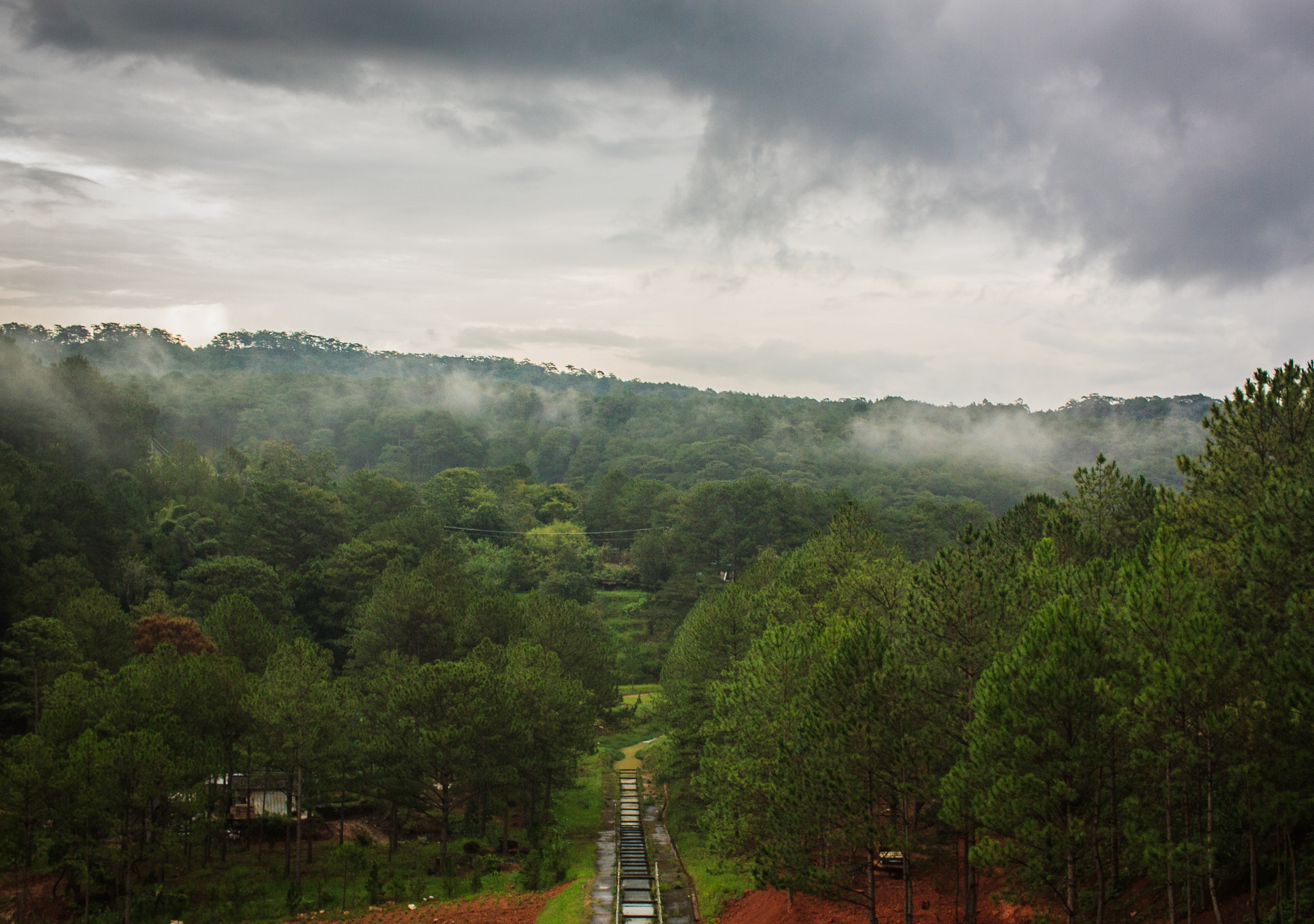 Canon EF-S 24mm F2.8 STM sample photo. Da lat forest photography