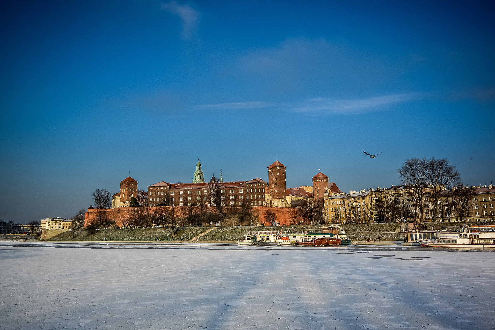 Nikon 1 J3 sample photo. Wawel castle, krakow photography