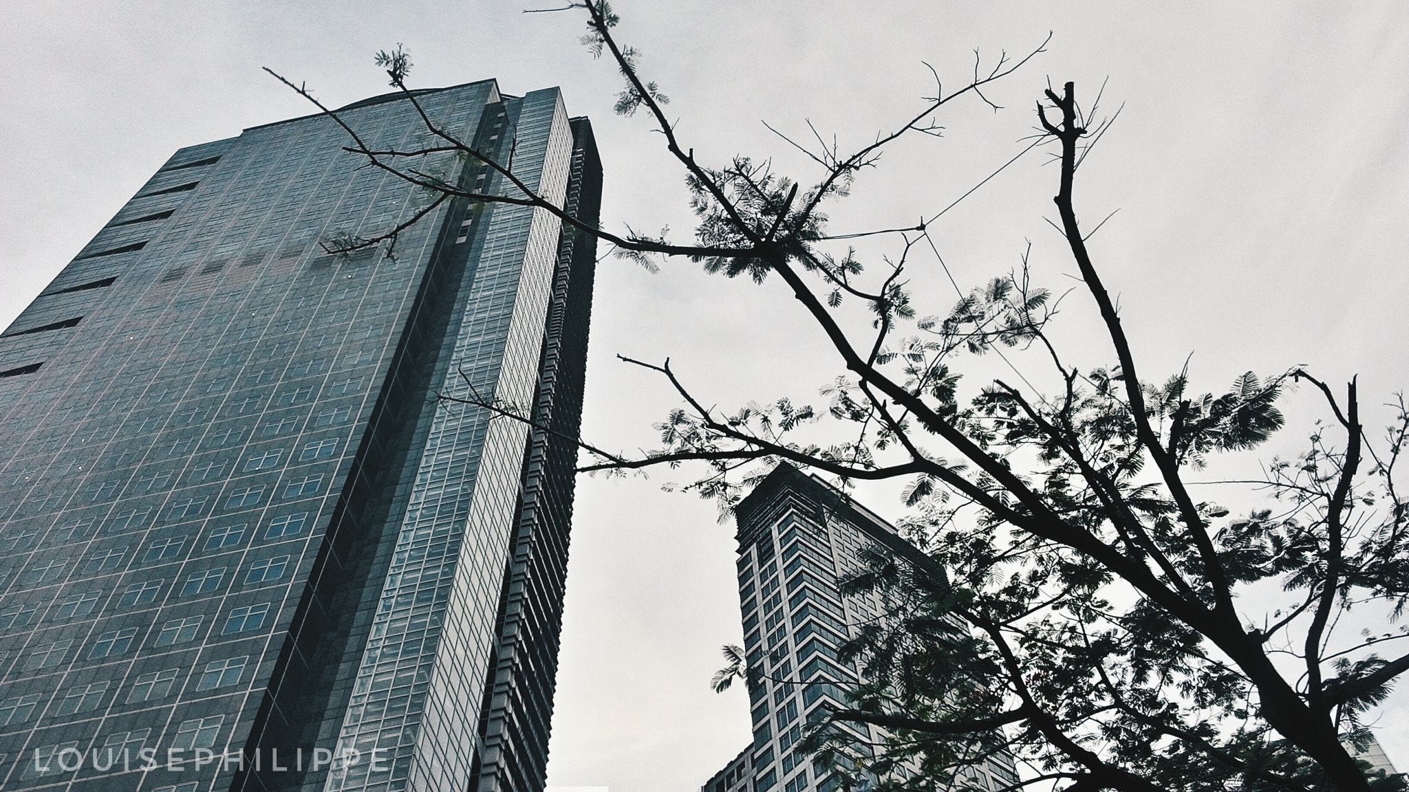 ASUS ZenFone 2 (ZE500CL) sample photo. Channelling tokyo in makati photography