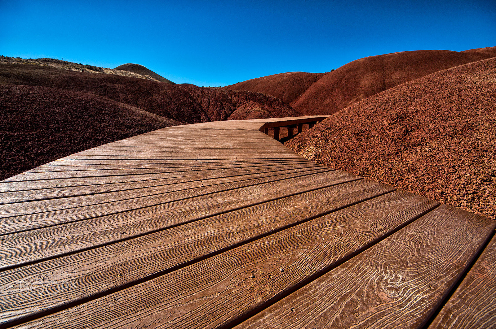 Sigma 8-16mm F4.5-5.6 DC HSM sample photo. Pathway photography