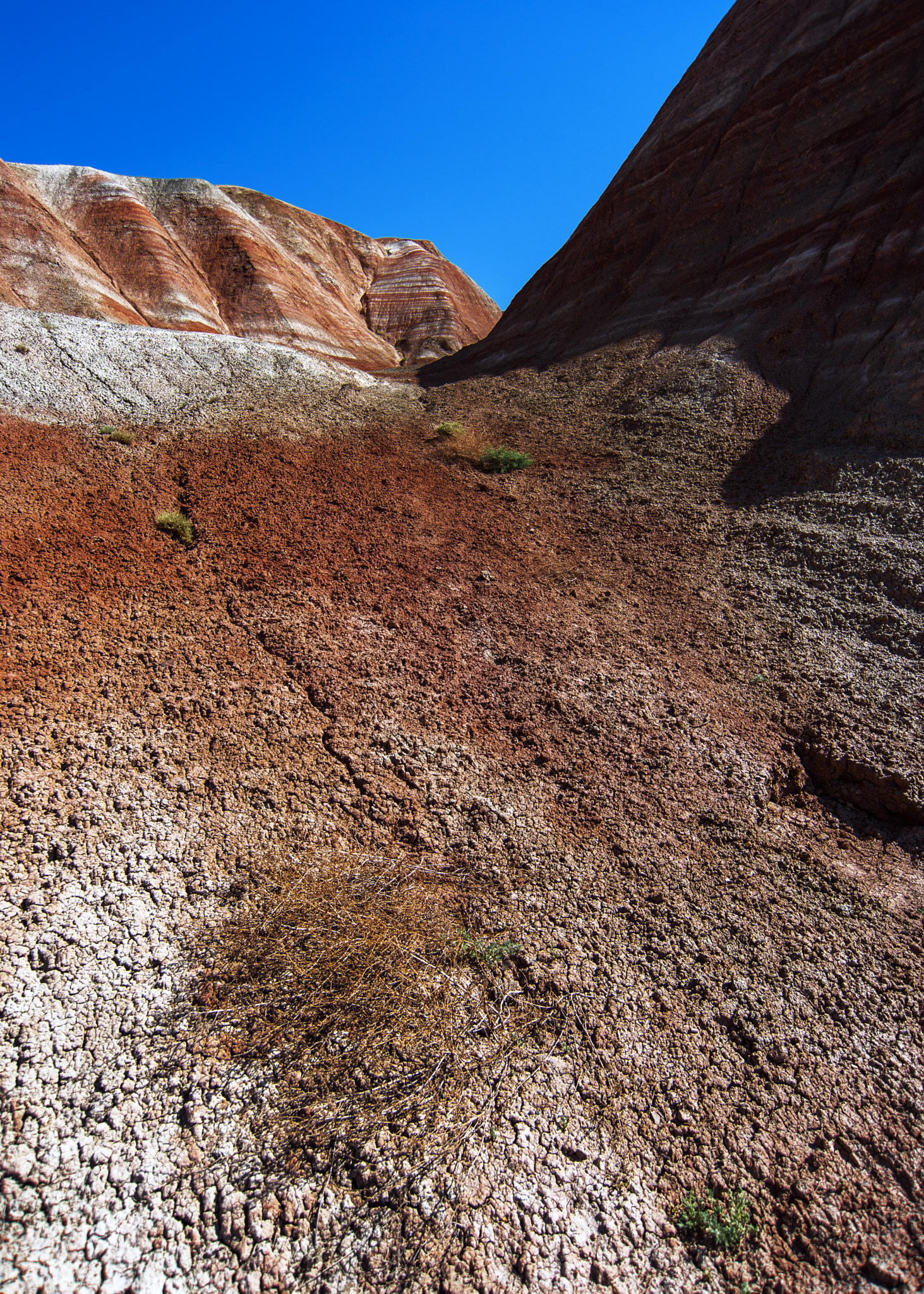 Nikon D800 sample photo. Story of the red rocks photography